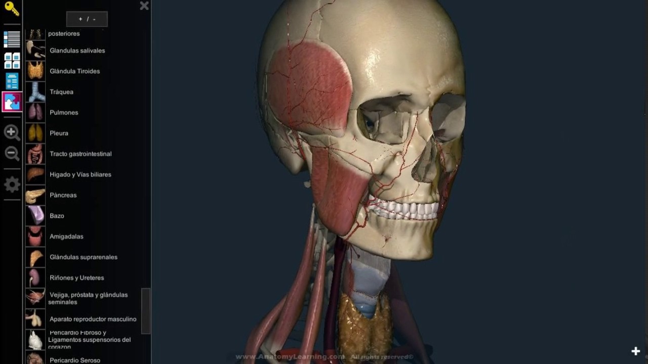 Ciência em 3D ao invés de cadáveres