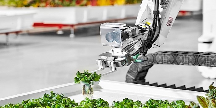 O futuro da agricultura é vertical e com trabalho quase exclusivo de robôs