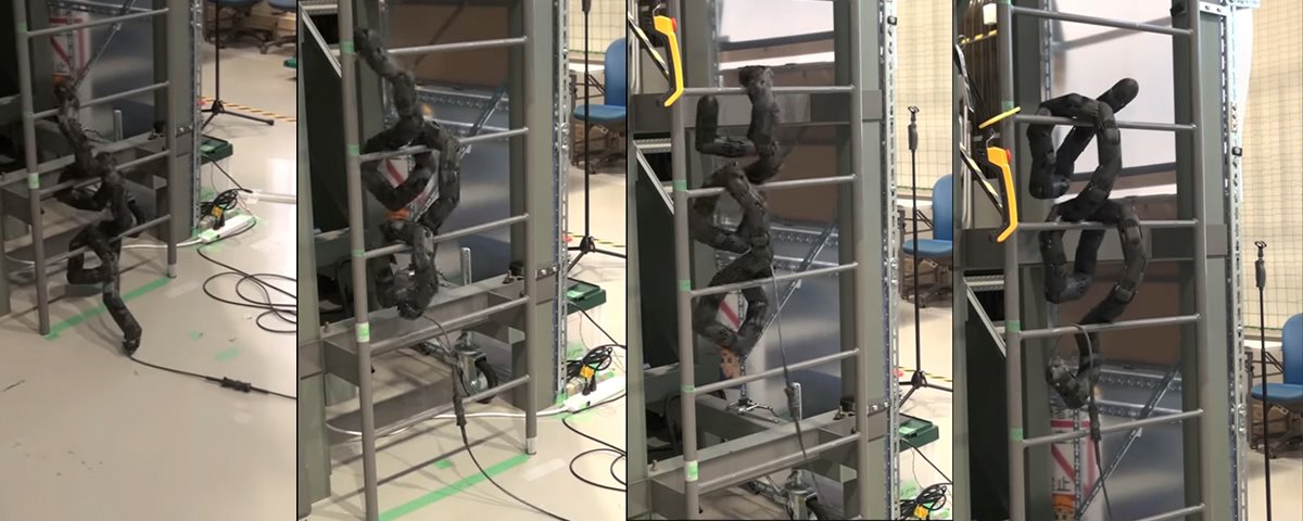 Eita! Cobra robótica japonesa é capaz até mesmo de subir escadas
