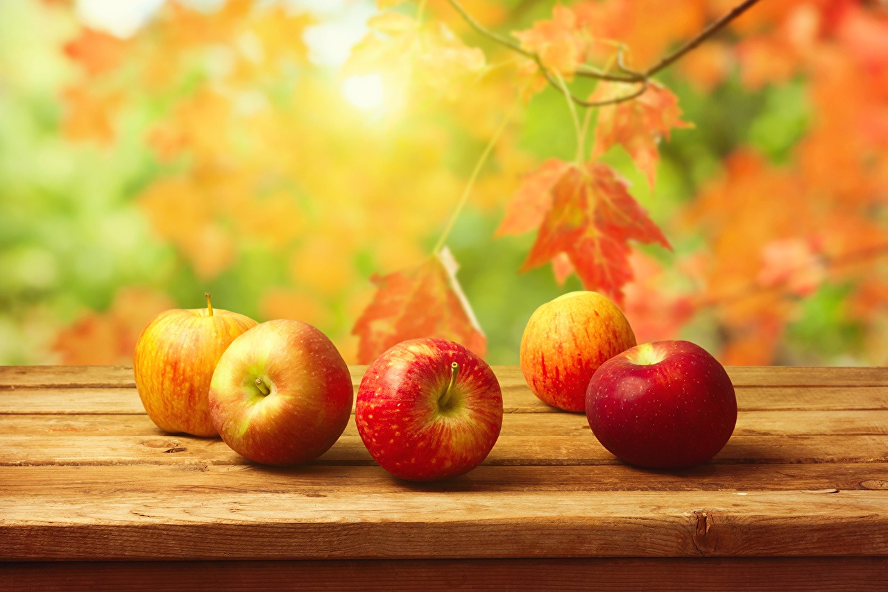 Conheça Cinco Frutas do Outono Japonês!