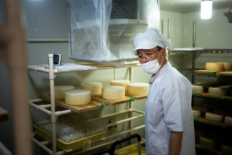 Fabricantes de queijo japoneses temem acordo comercial com UE