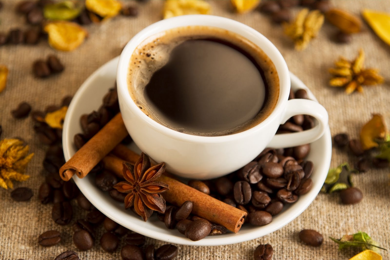 Tomar muito café pode nos deixar desidratados?