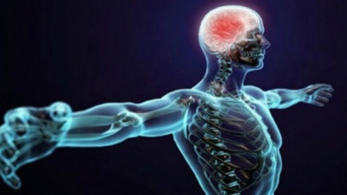 21 fatos incríveis sobre o funcionamento do corpo humano