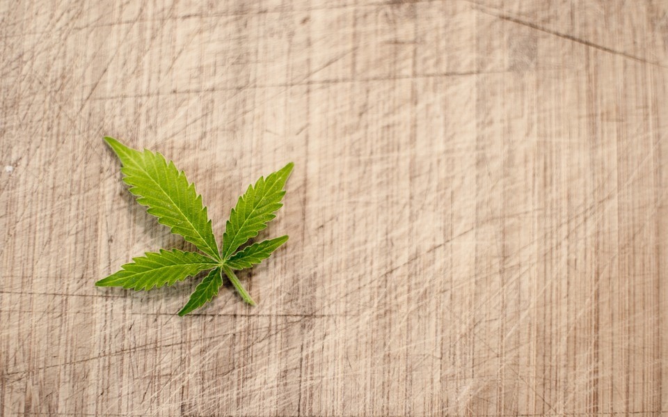 Maconha faz mais mal a cérebro de adolescentes do que álcool