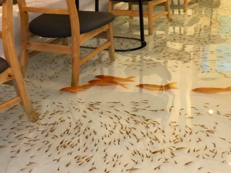 Cafeteria inundada de peixes é inaugurada no Vietnã