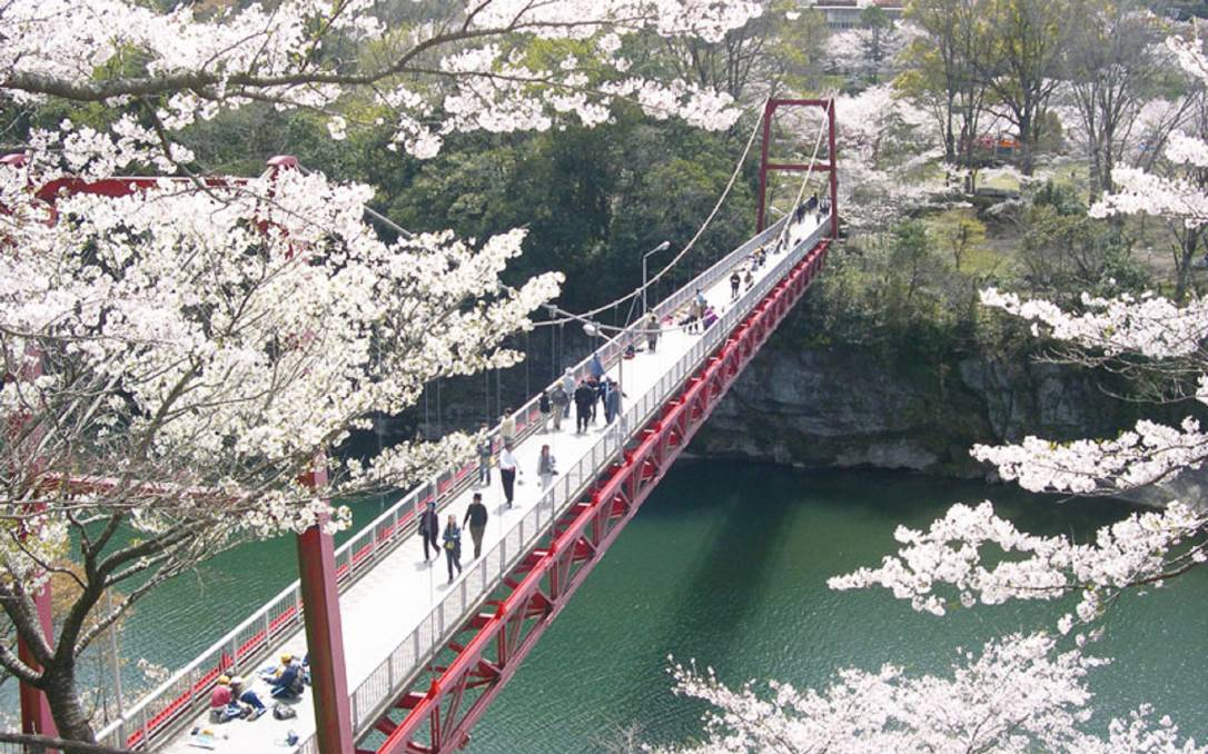 Conheça o Parque de Sakurabuchi em Aichi-ken