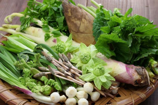 Sansai, os vegetais das montanhas japonesas!