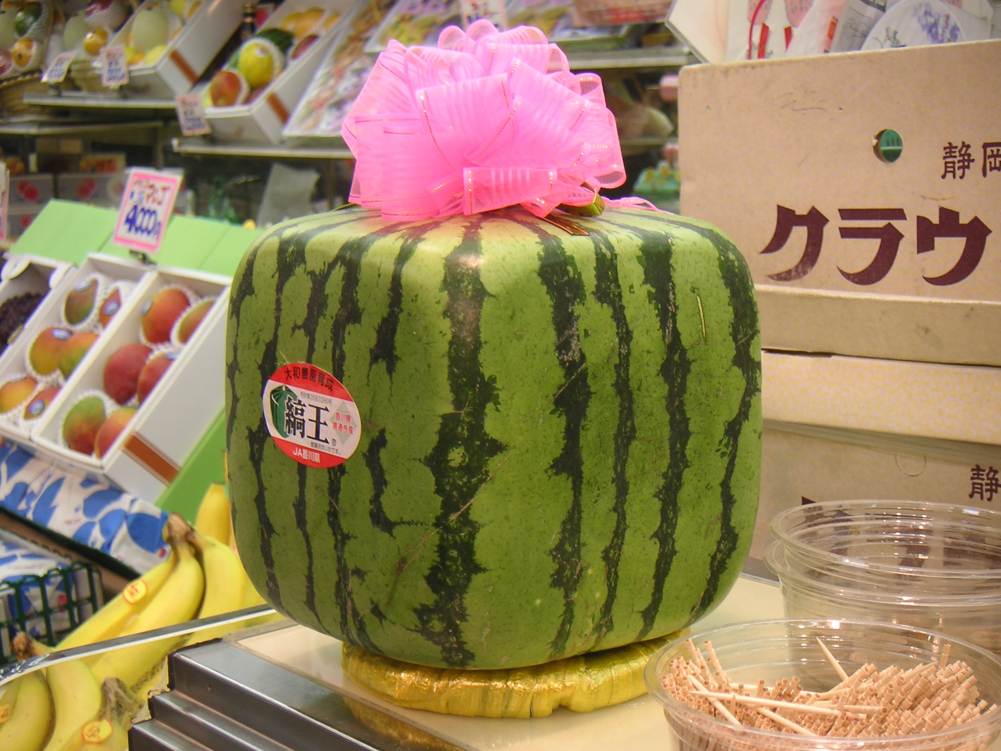 Por que os agricultores japoneses estão cultivando melancias quadradas?