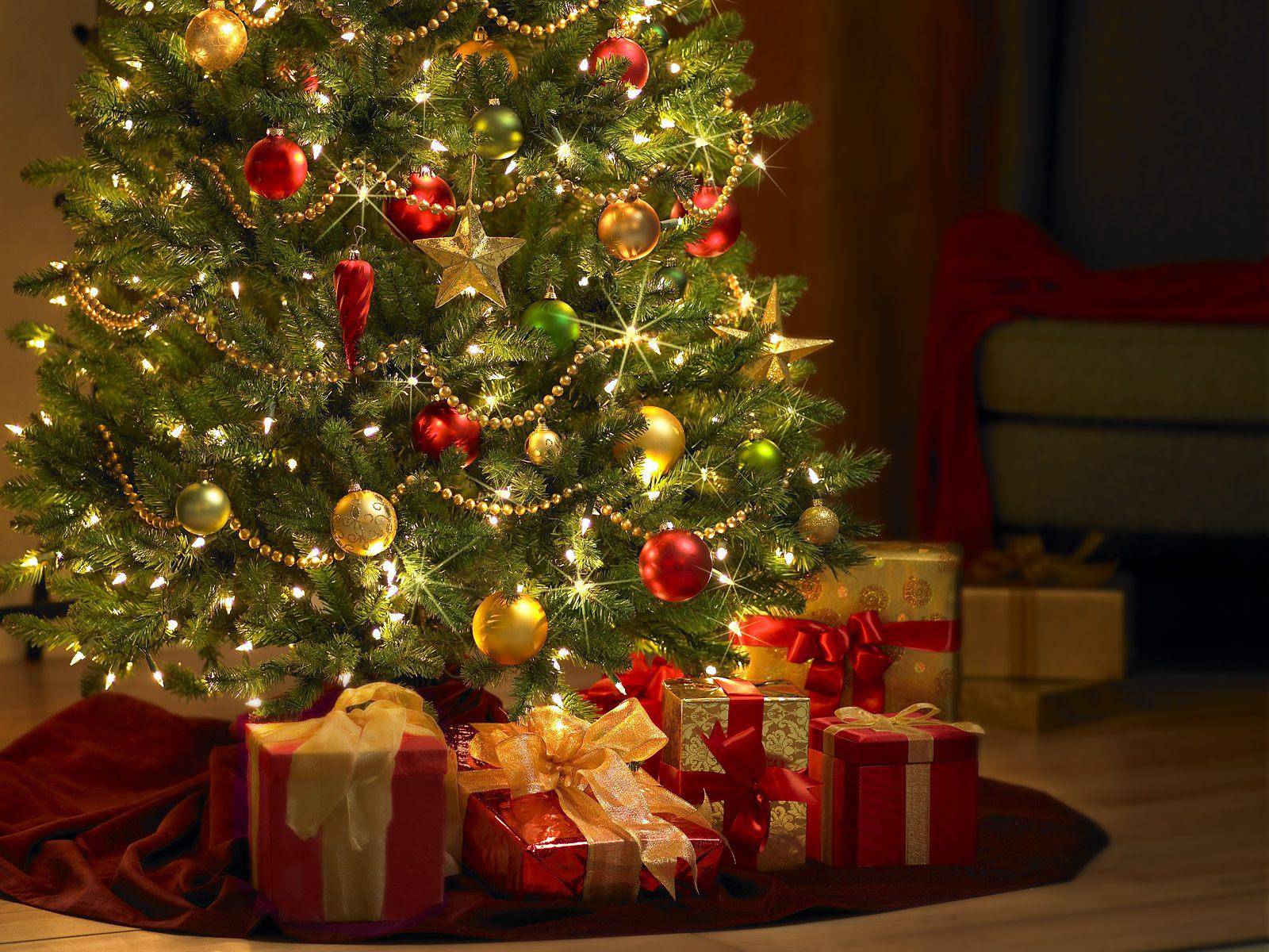 Existe um dia correto para montar a árvore de Natal?
