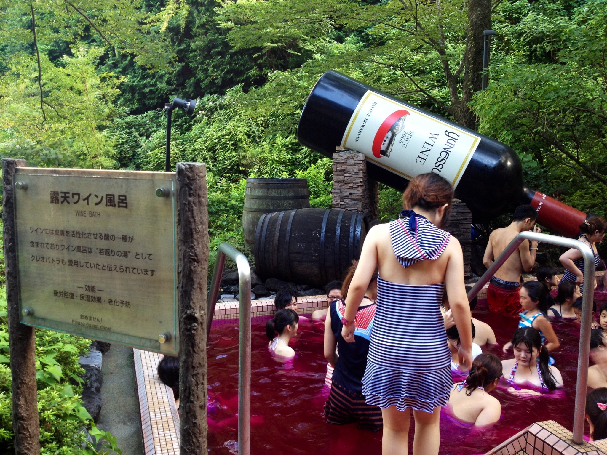 Conheça o spa no Japão que oferece piscinas de vinho, chá e café