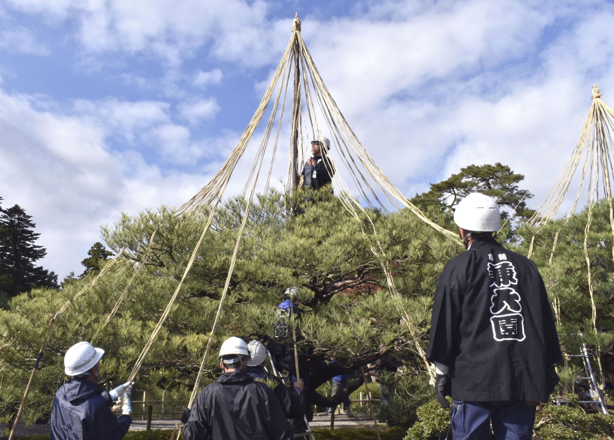 Jardim em Kanazawa se prepara para o inverno
