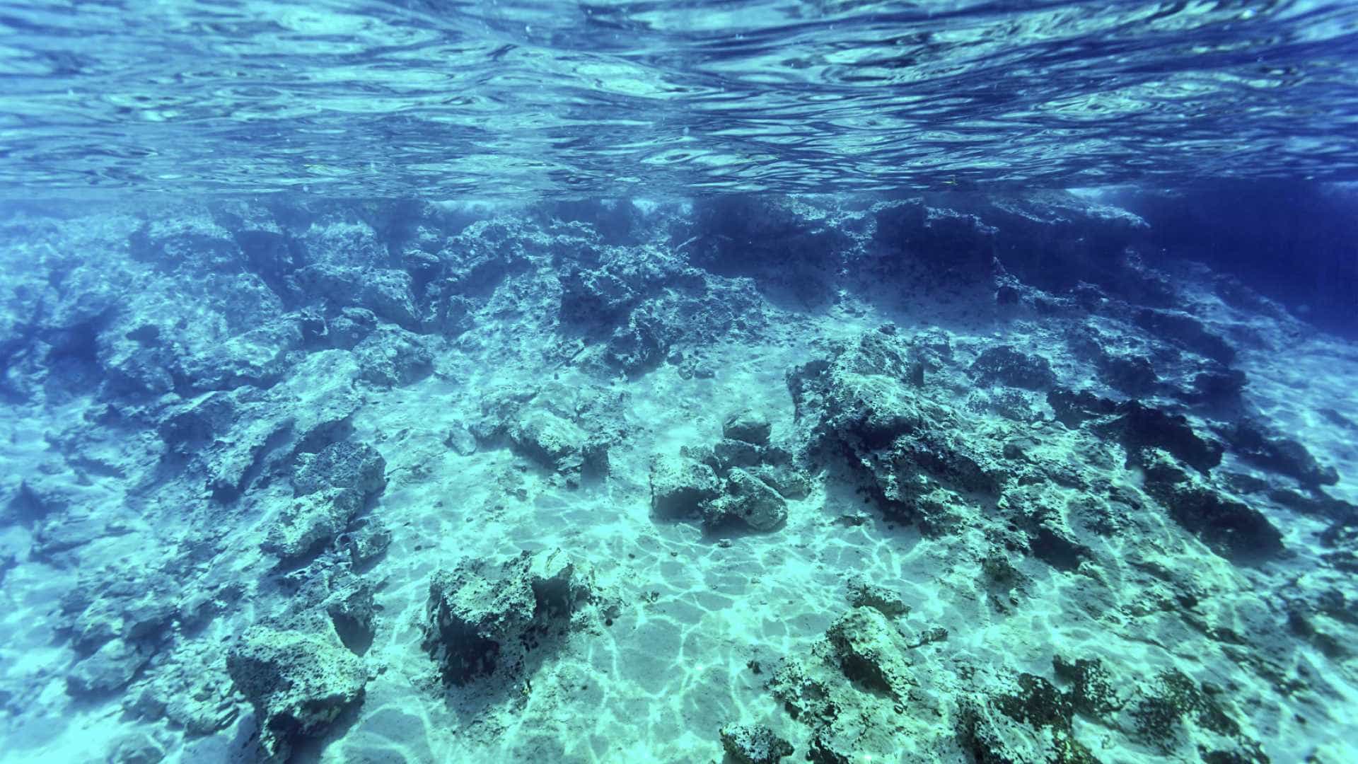 A superfície não basta: Leito oceânico está se dissolvendo por nossa culpa