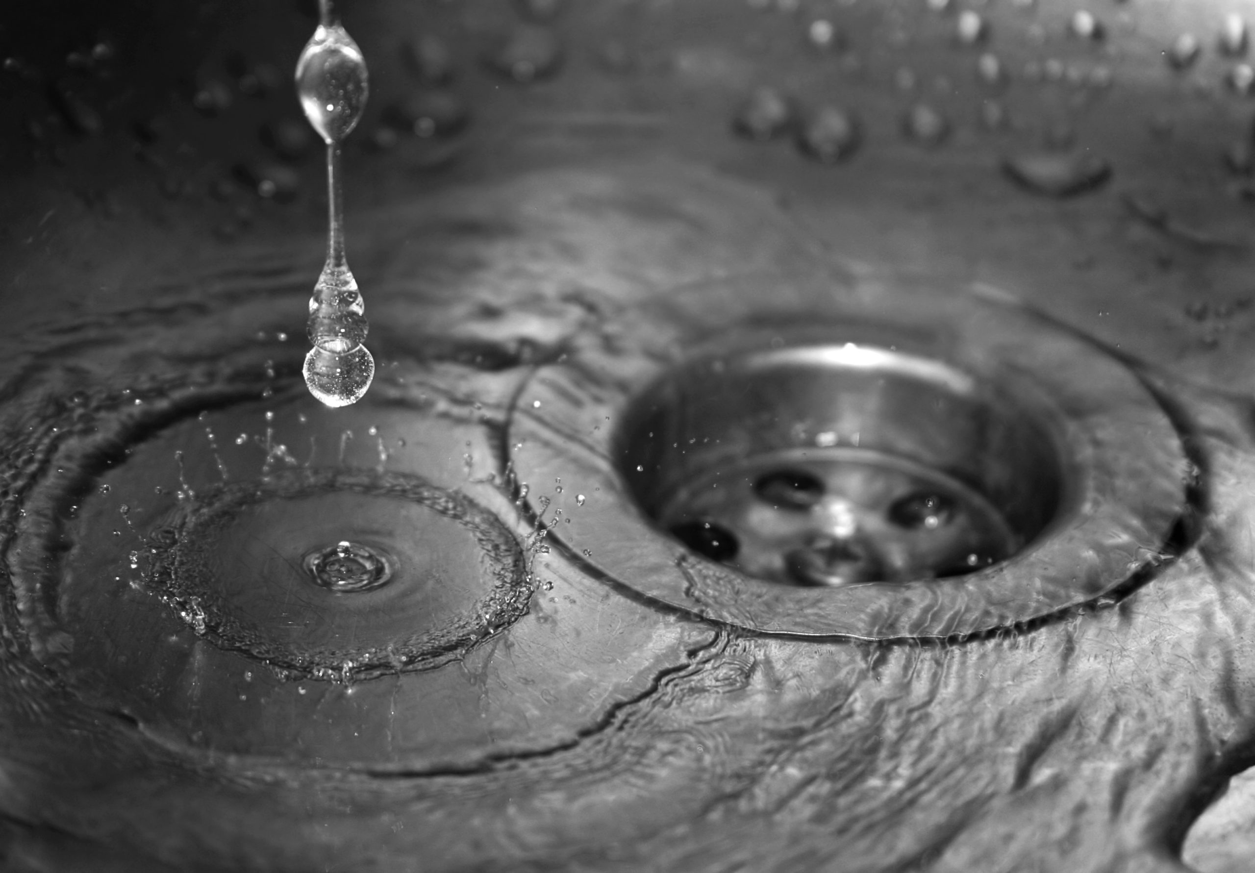 Triturador de alimentos ecológico do Japão