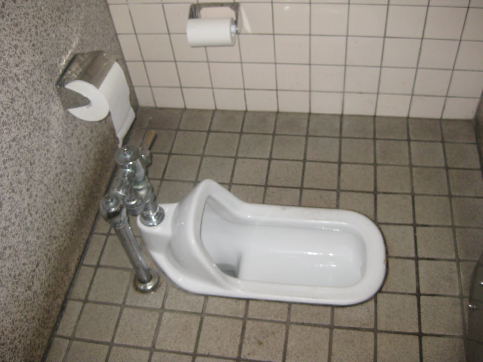 Saiba como o vaso sanitário japonês evita hemorróidas