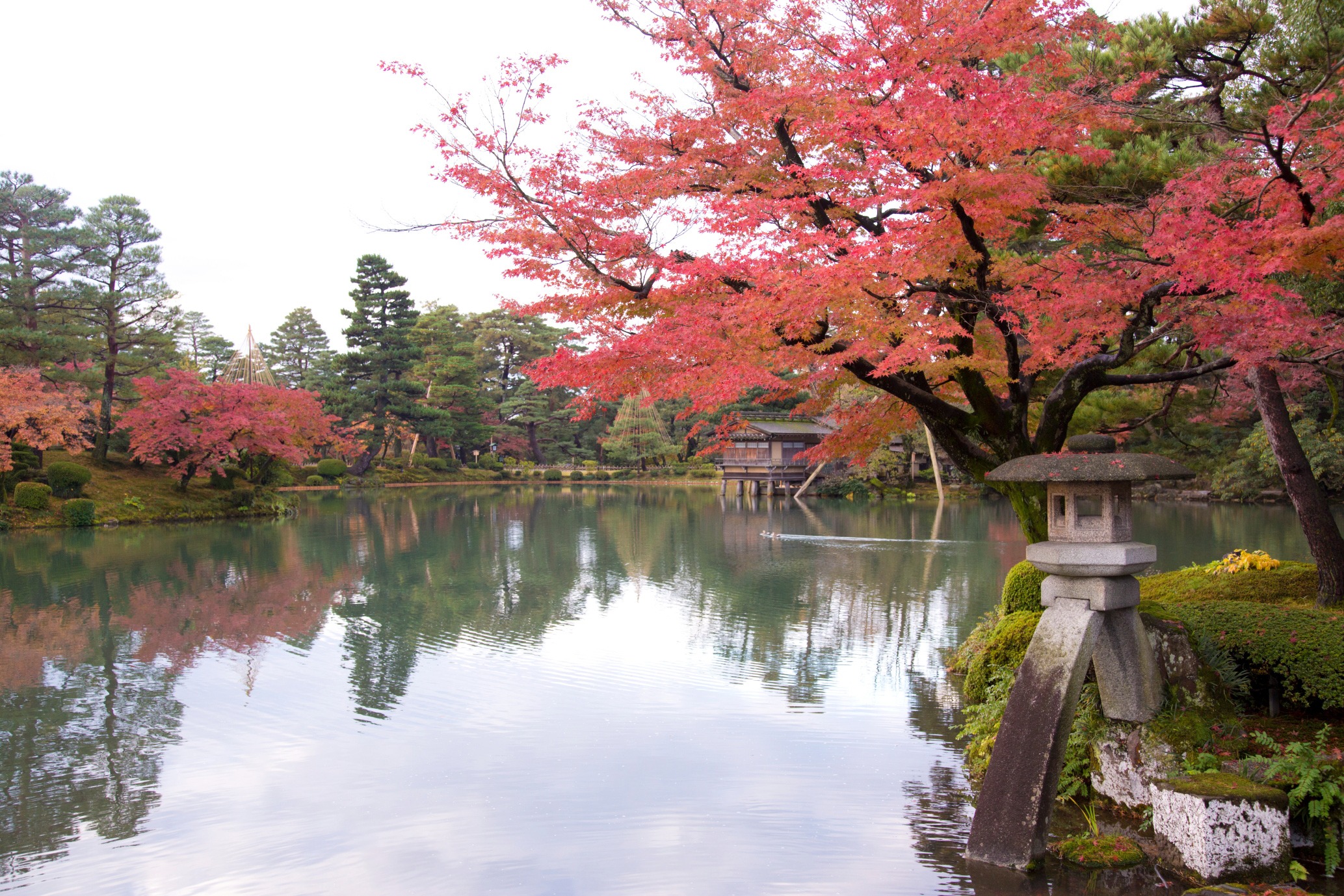 Os Cinco Principais Elementos de um Jardim Japonês