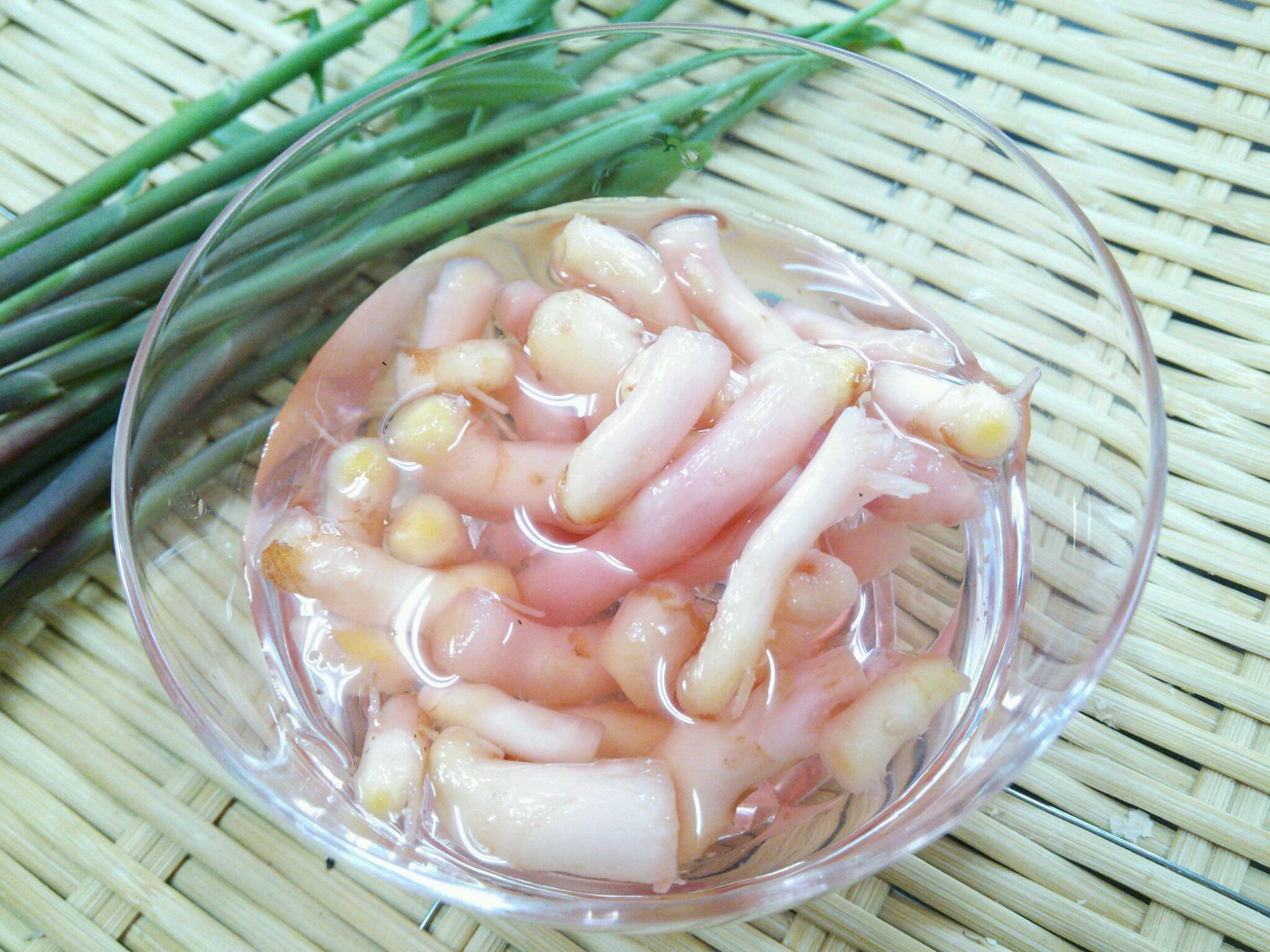 Receita de Shoga Gari – Gengibre em Conserva