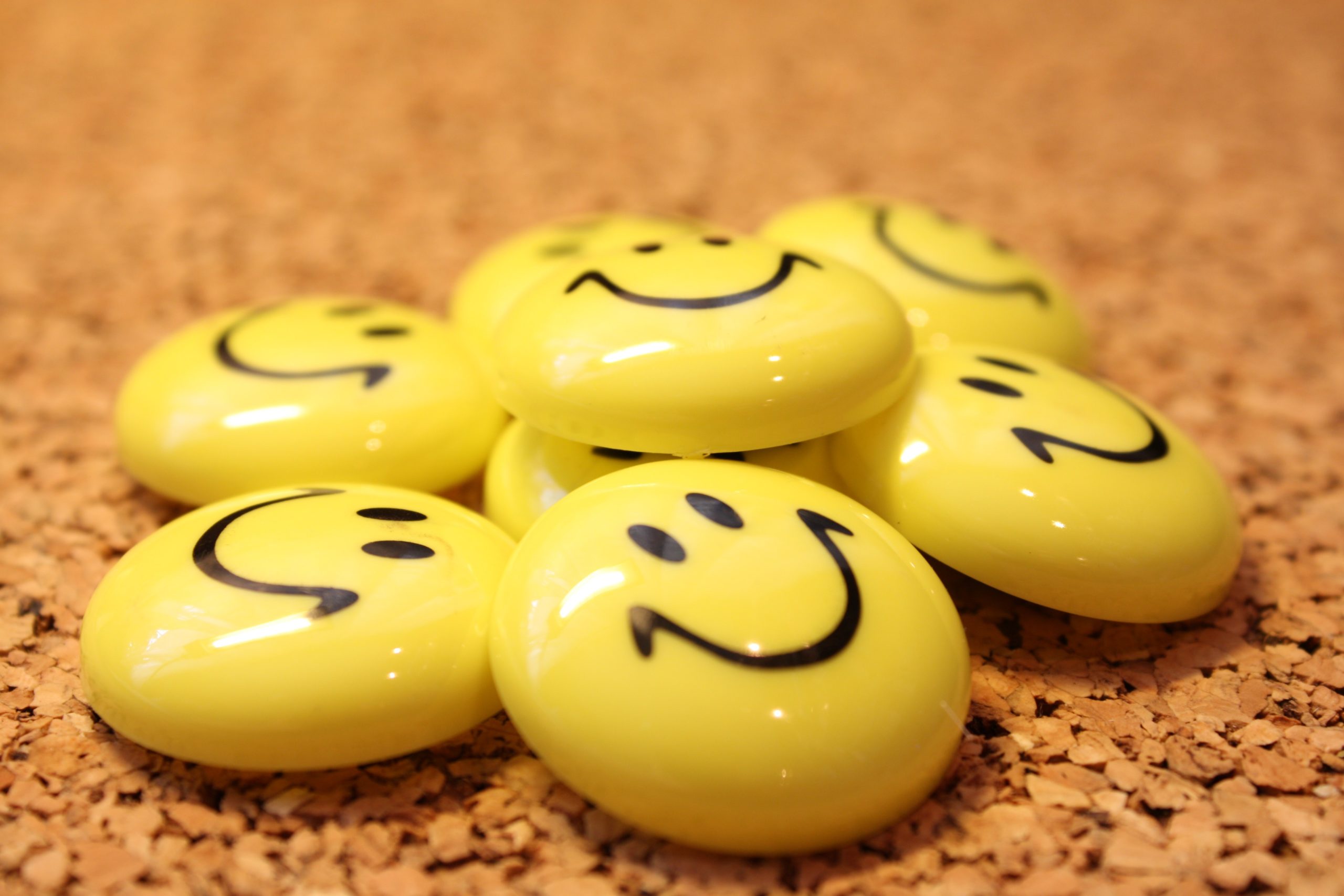 5 Passos para a felicidade