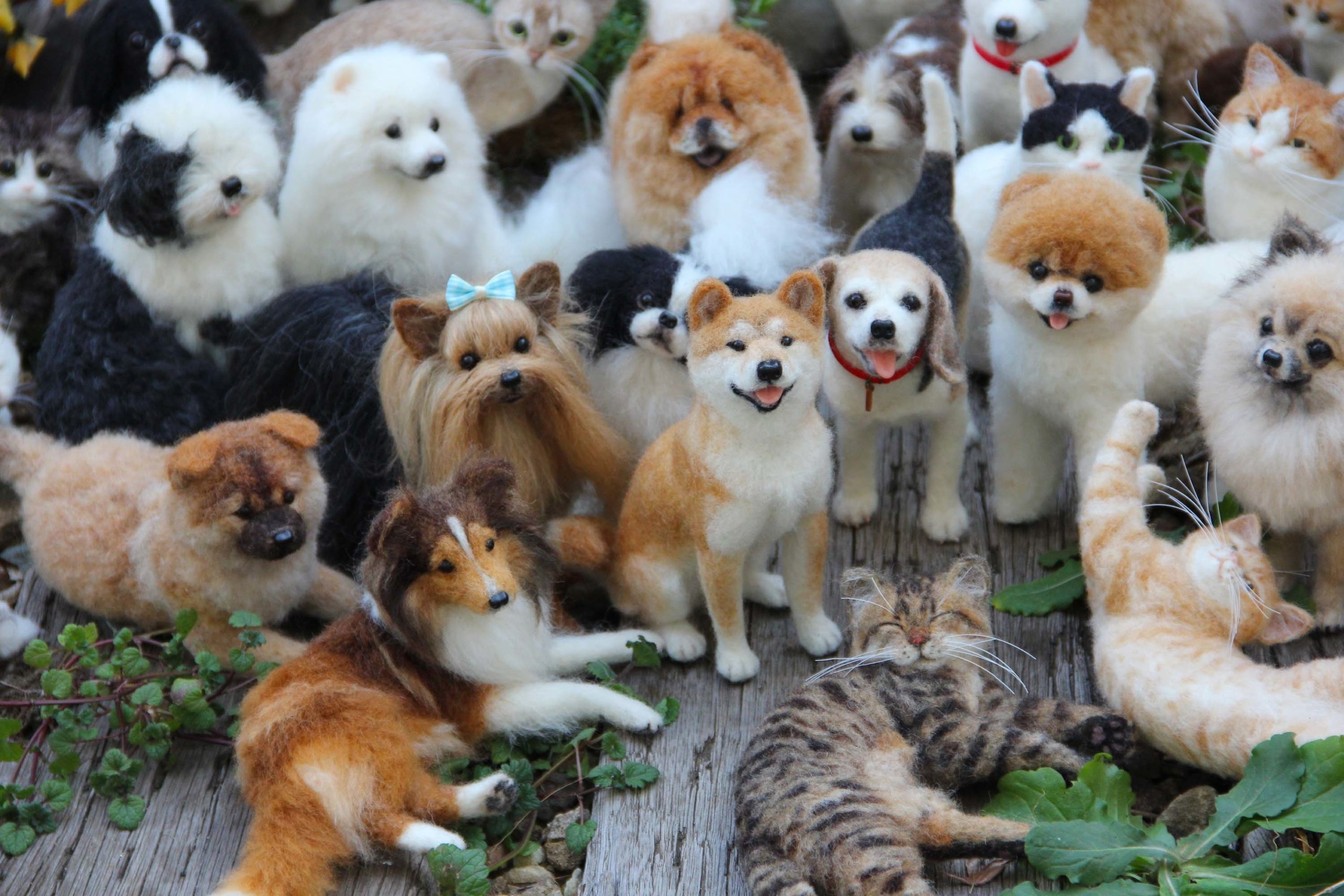 Olhe esses animais! Nem dá para acreditar que são de feltro!