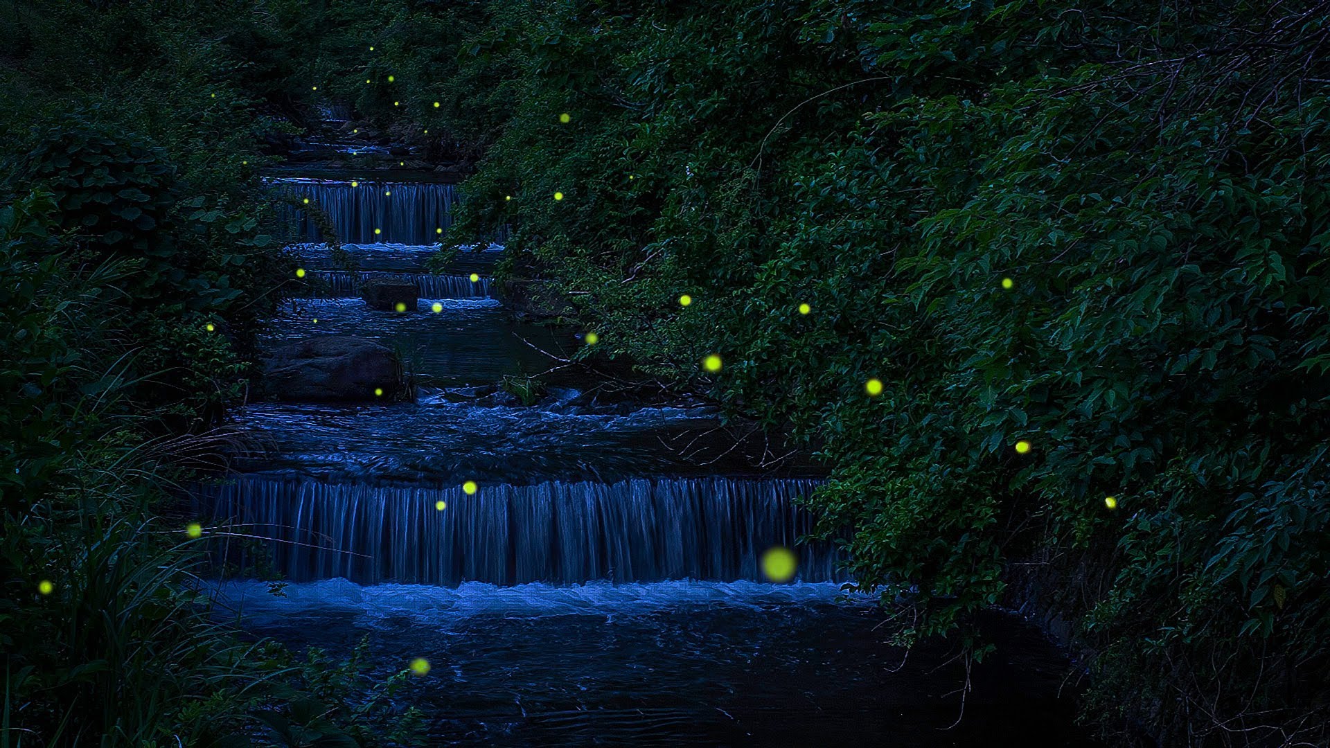 Por que os japoneses apreciam tanto os vaga-lumes?