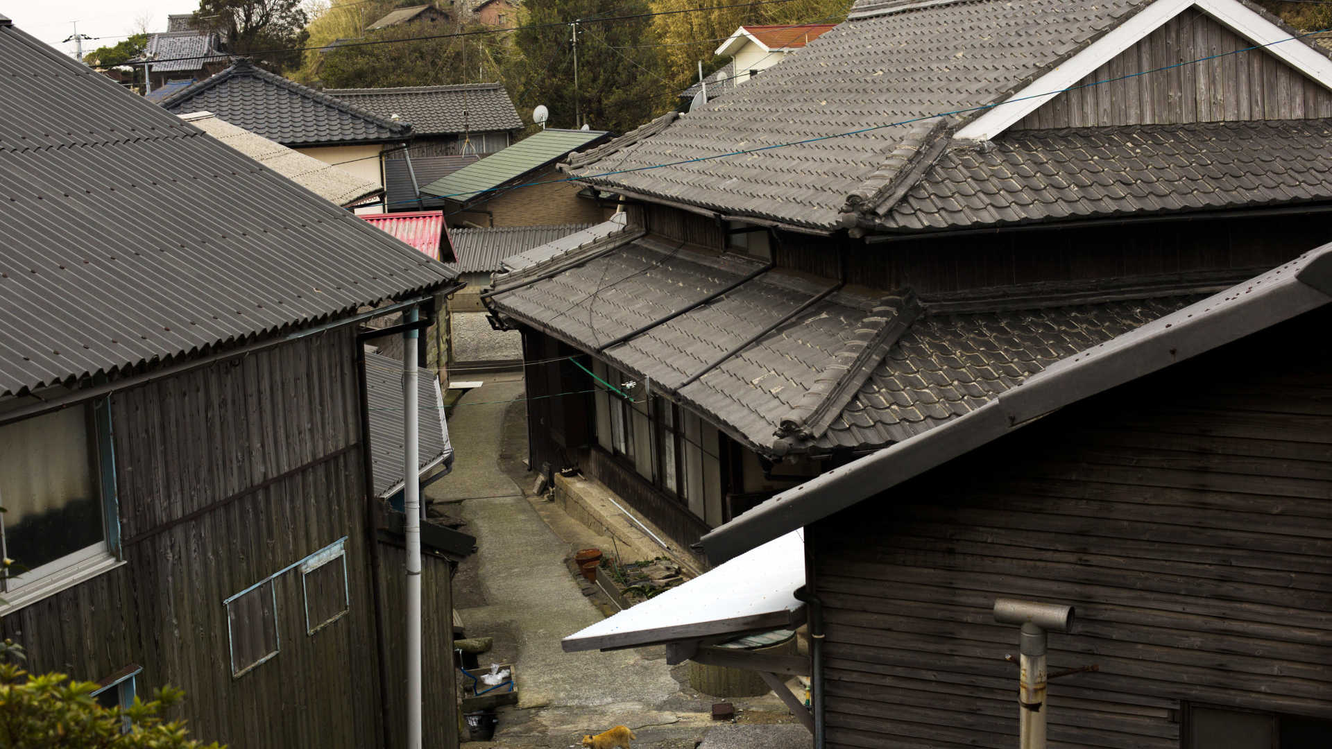 Quantidade de casas abandonadas aumenta ao longo dos anos no Japão e criam oportundiades de moradia