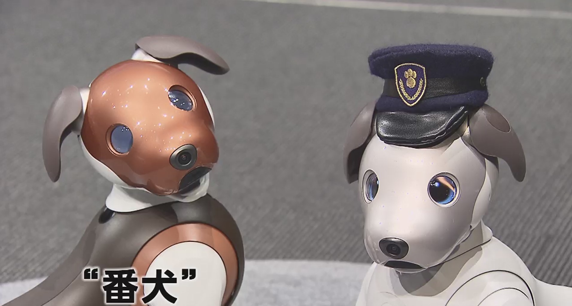 Sony atualiza robô Aibo para exercer função de cão de patrulha