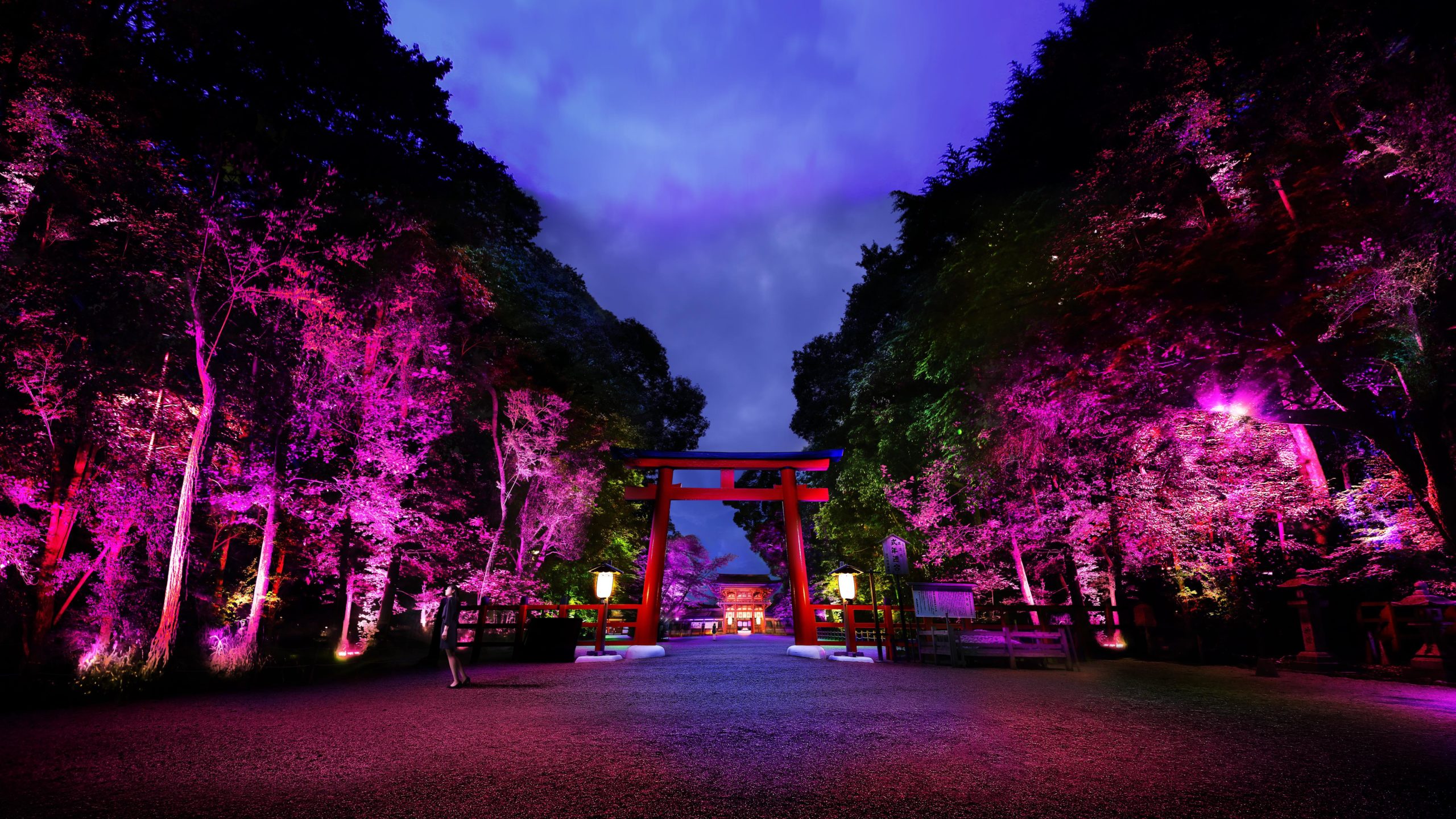 Conheça Kyoto e Nara, as duas antigas capitais do Japão