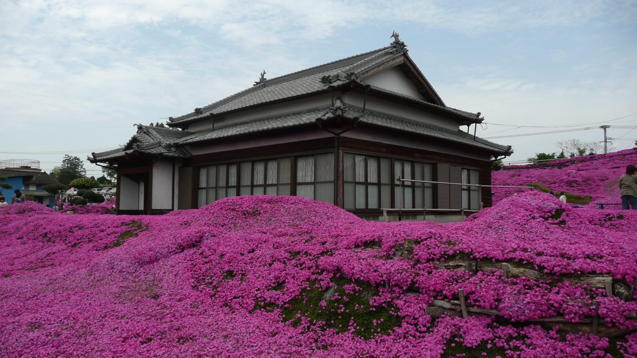 Após esposa ficar cega, japonês cria um lindo jardim como prova de amor