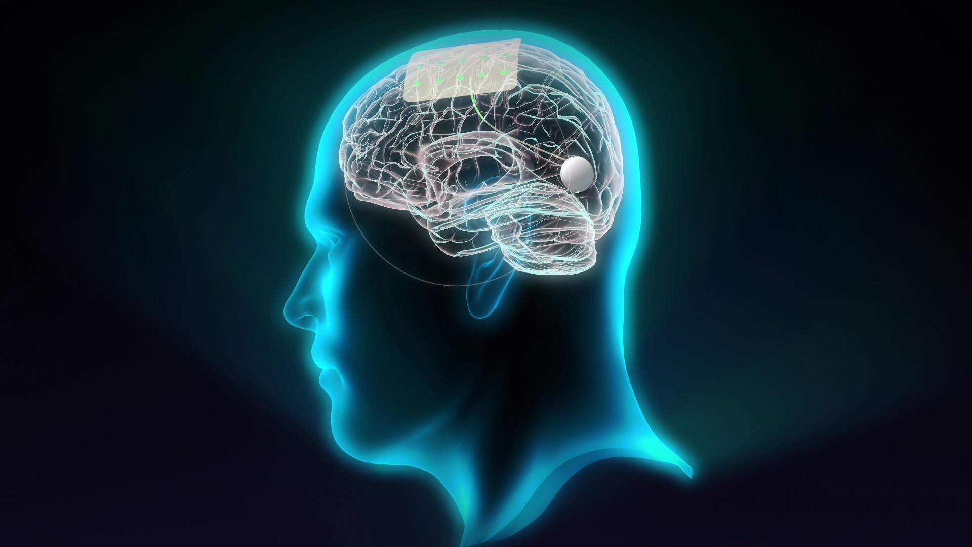 A conexão entre o nosso cérebro e intestino