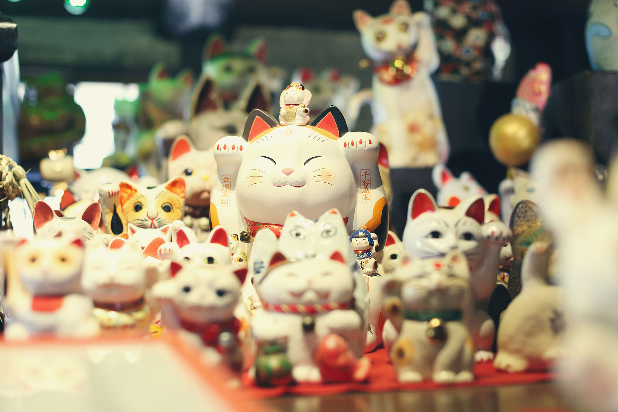 O gato da fortuna japonês – Maneki Neko