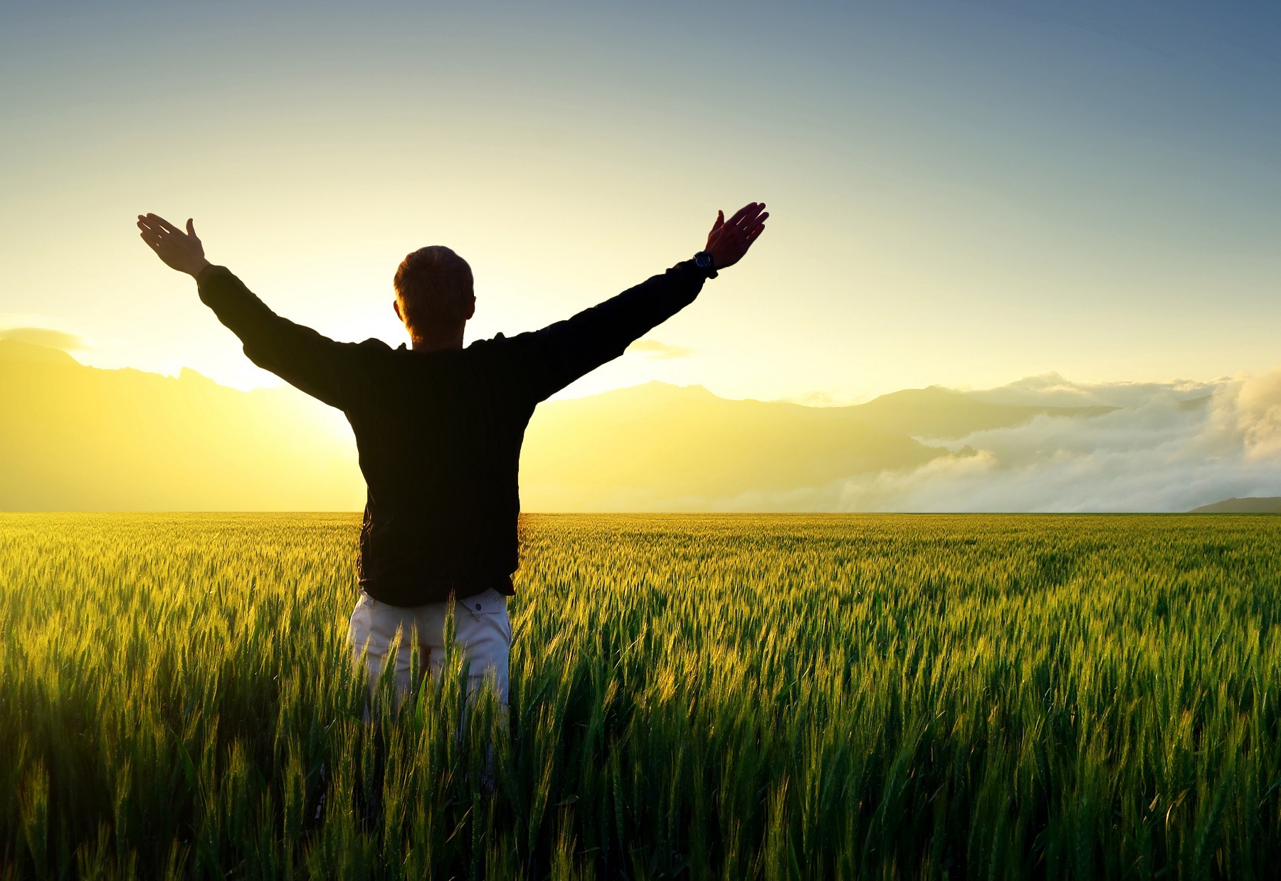 Correr atrás de uma vida feliz ou com significado?