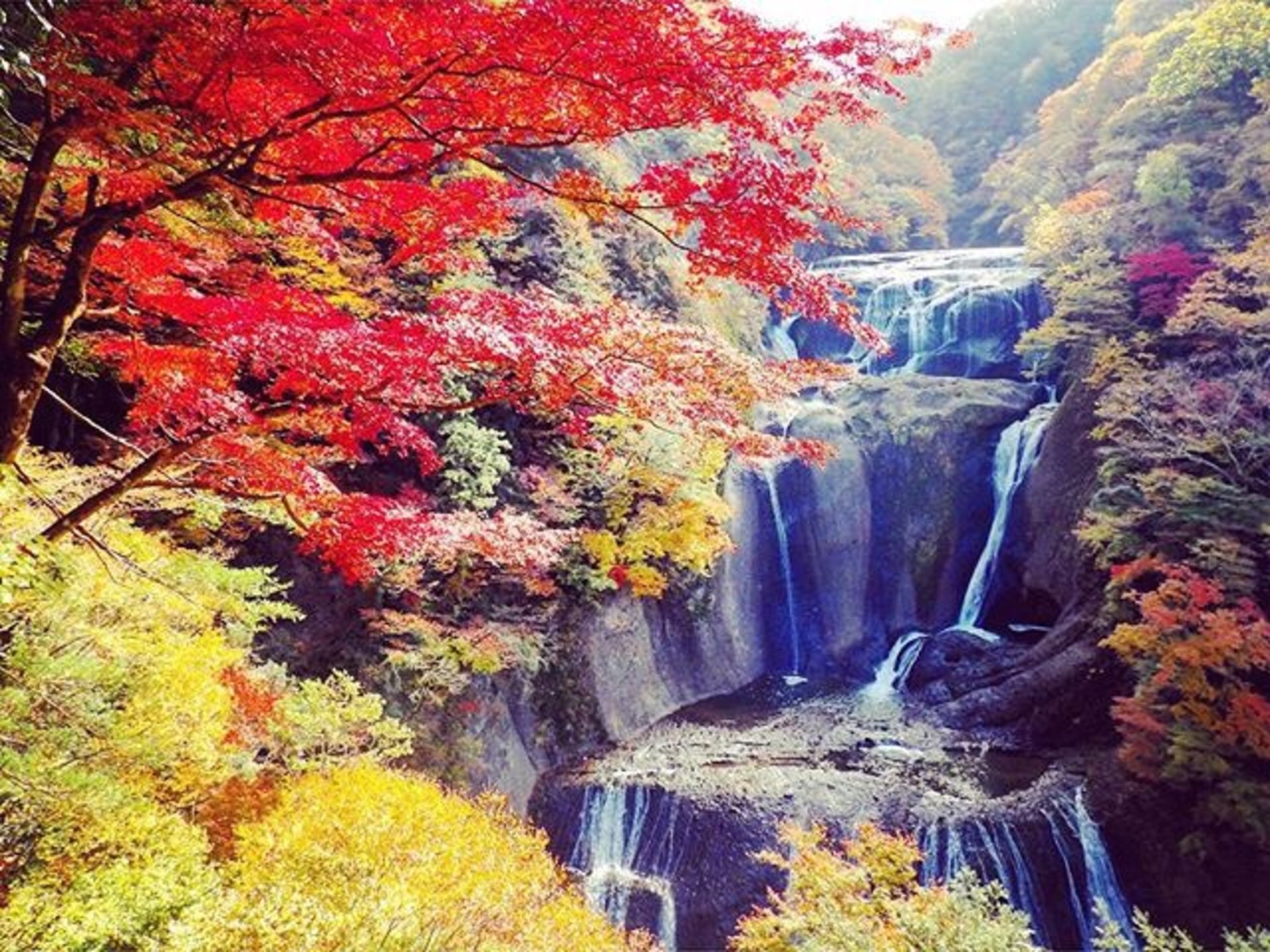 10 Pontos Turísticos Para Conhecer Em Ibaraki