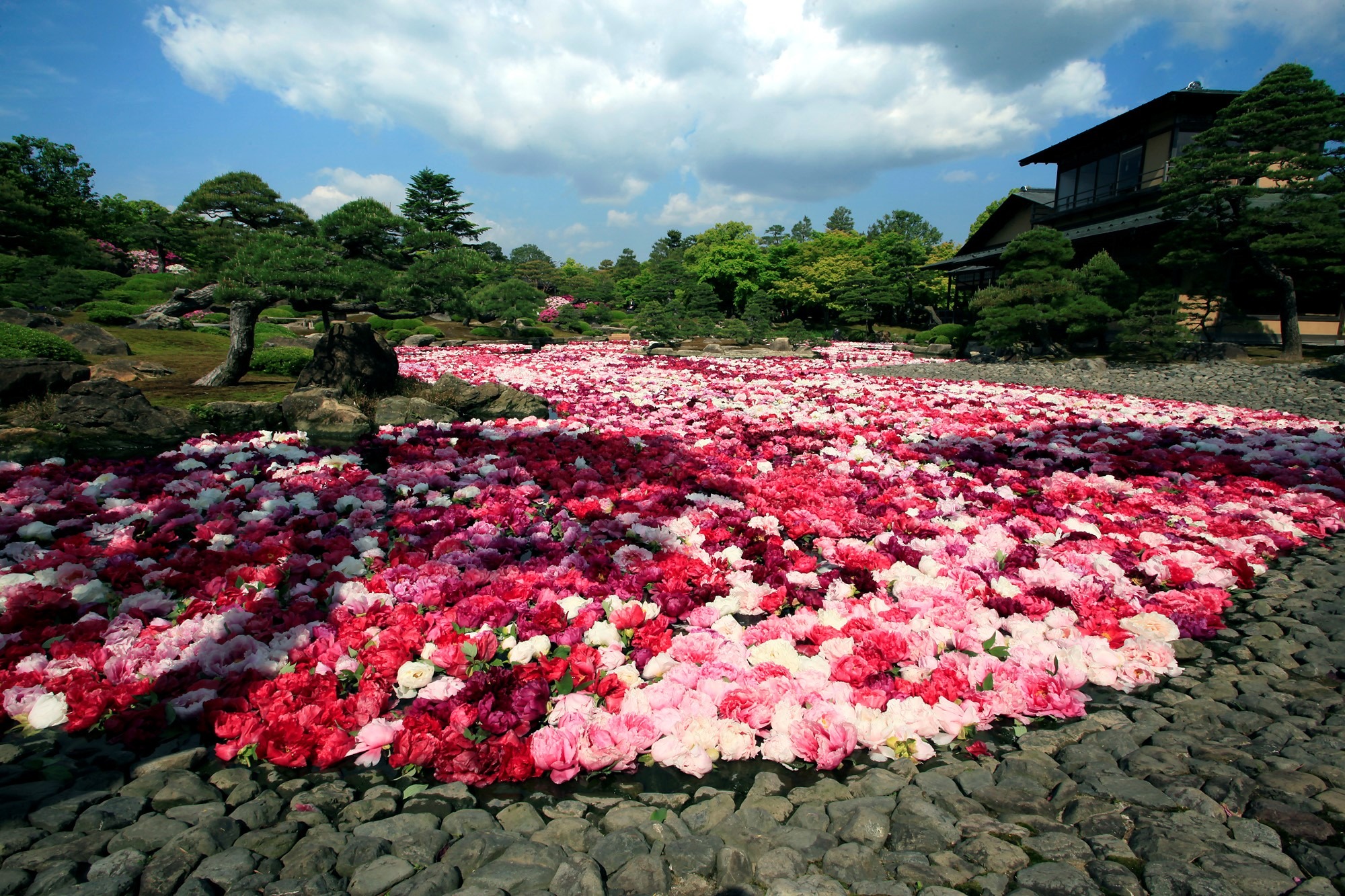 A Beleza do Yuushien Garden nas Quatro Estações do Ano