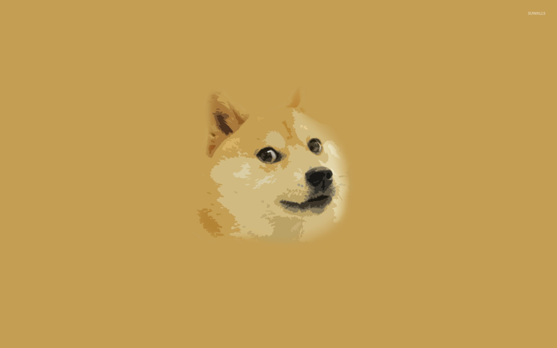 A História por Trás do Meme Doge