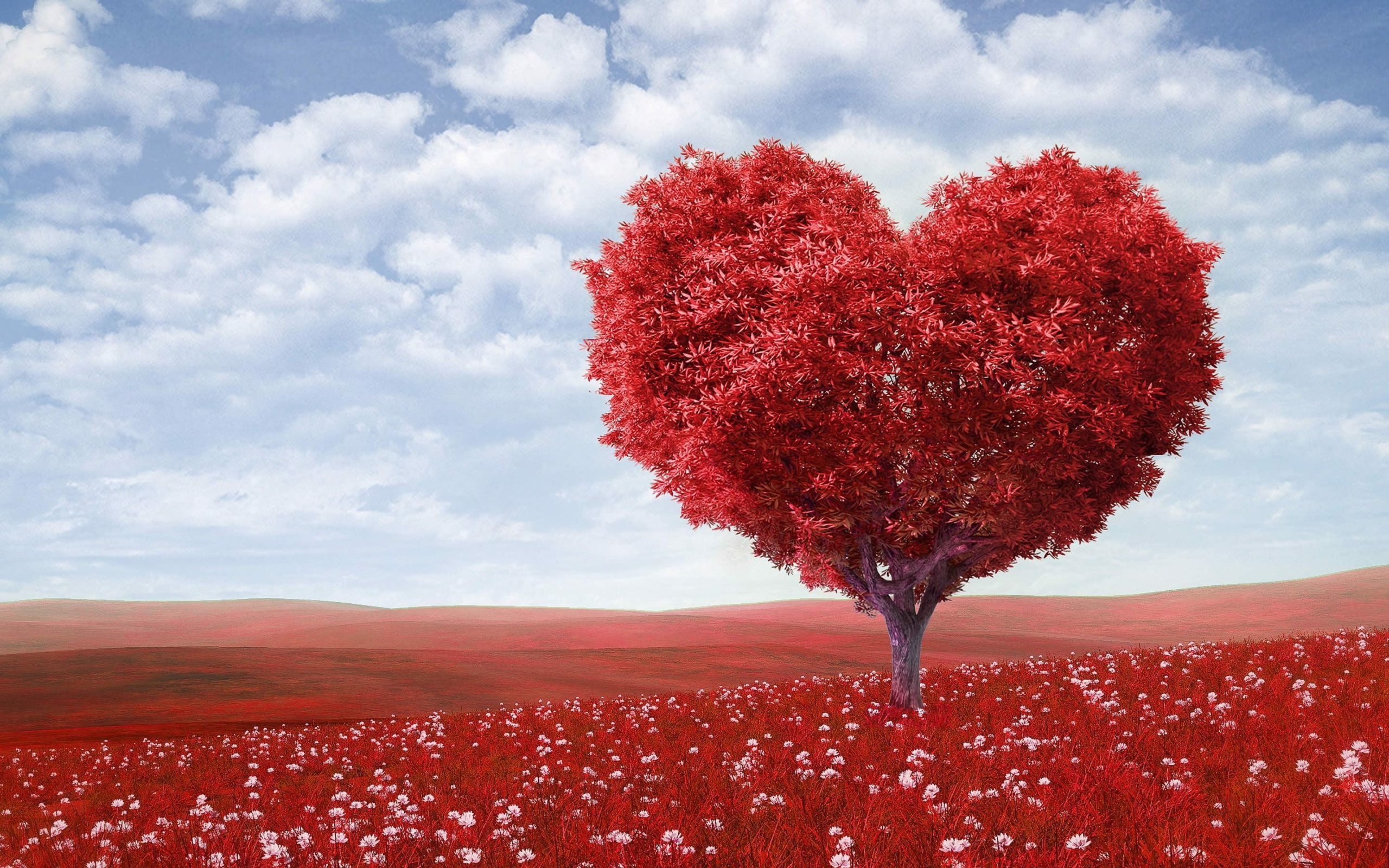 17 curiosidades incríveis sobre o amor