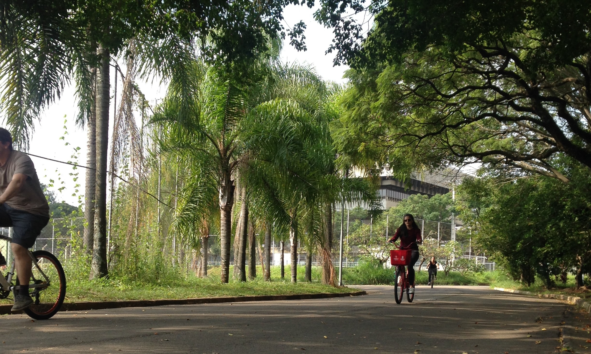 Ir ao parque deixa as pessoas mais felizes, segundo estudo