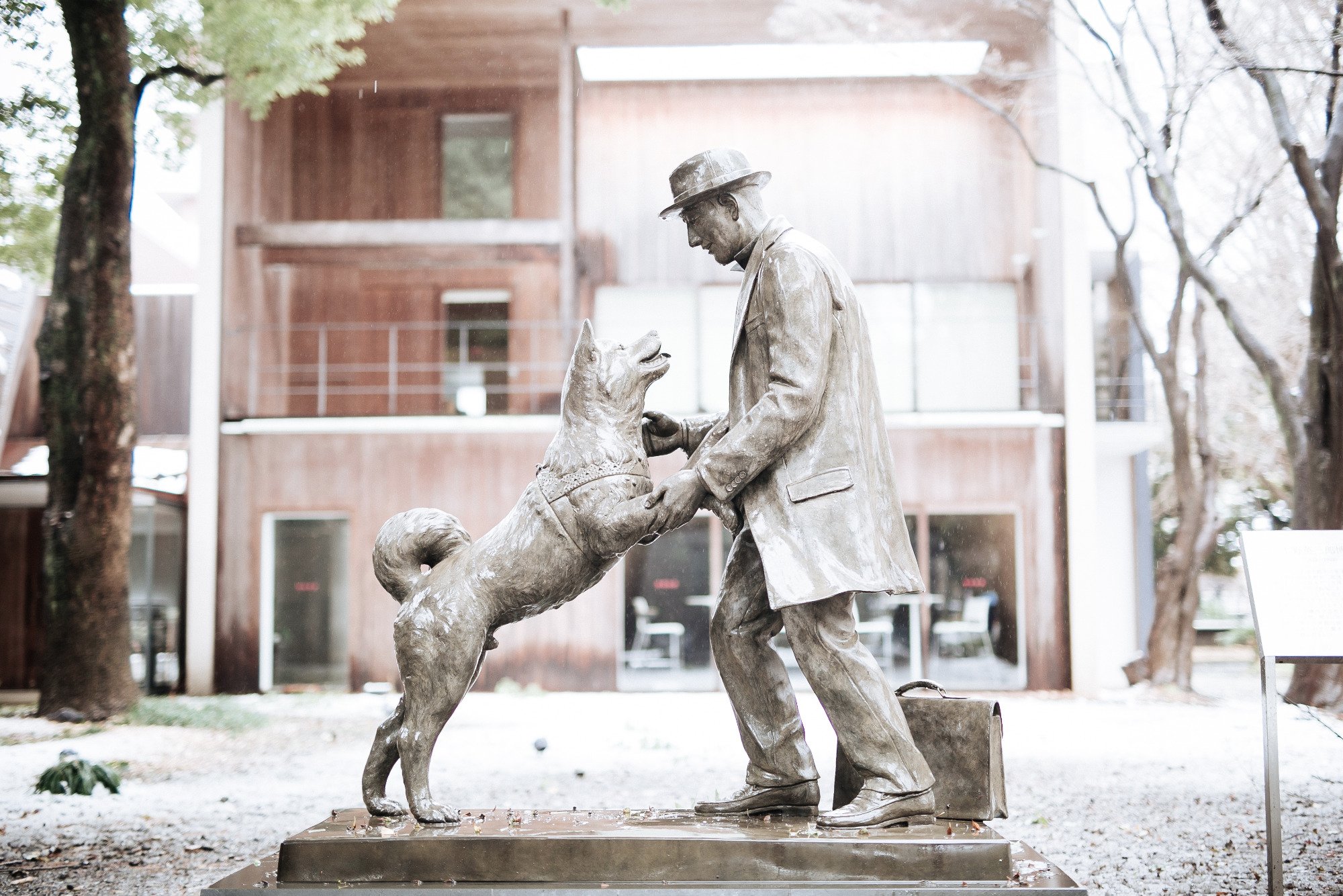Após 80 anos, o tão esperado reencontro de Hachiko e seu dono