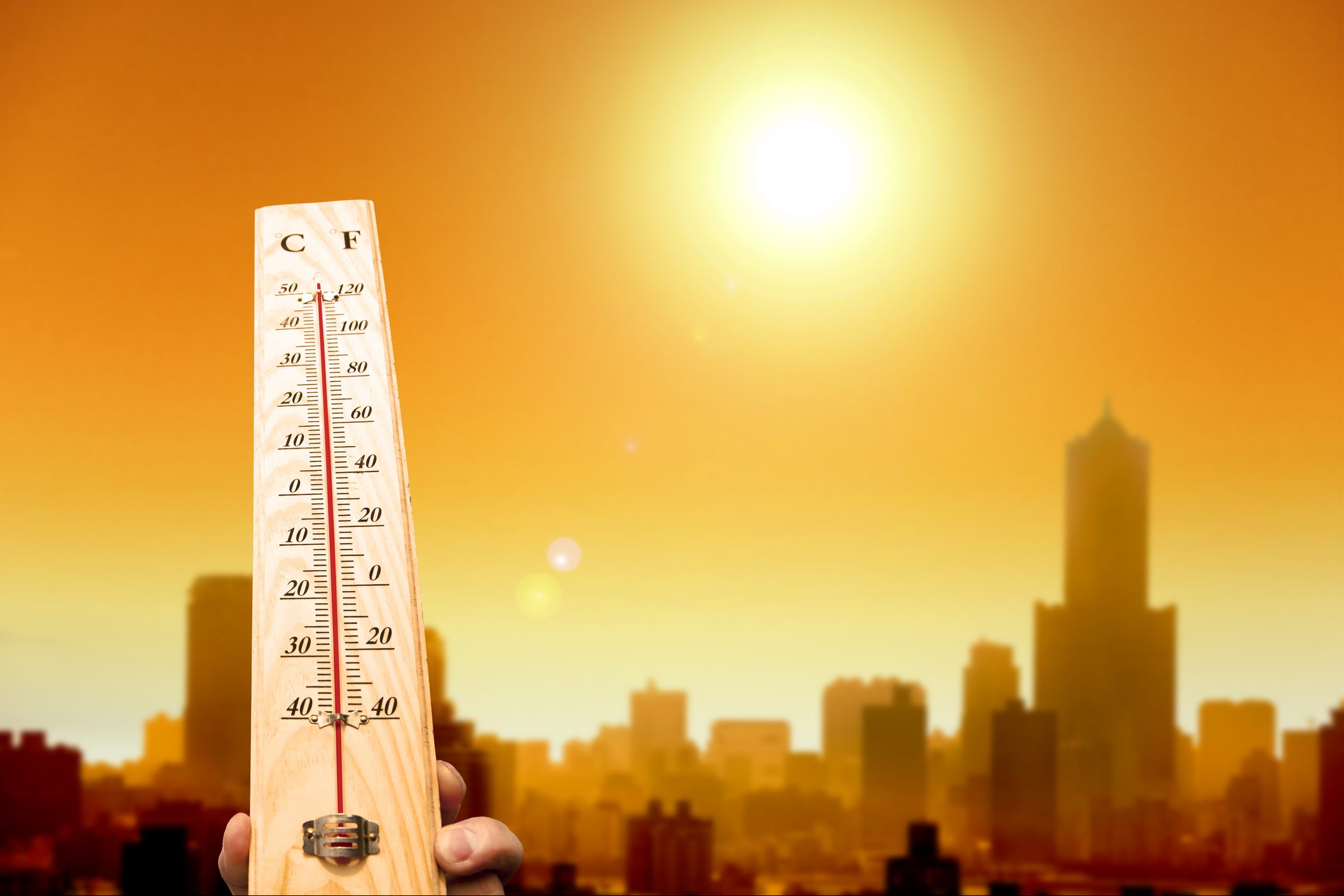 Cientistas acreditam que ser humano é o grande culpado pelo aquecimento global