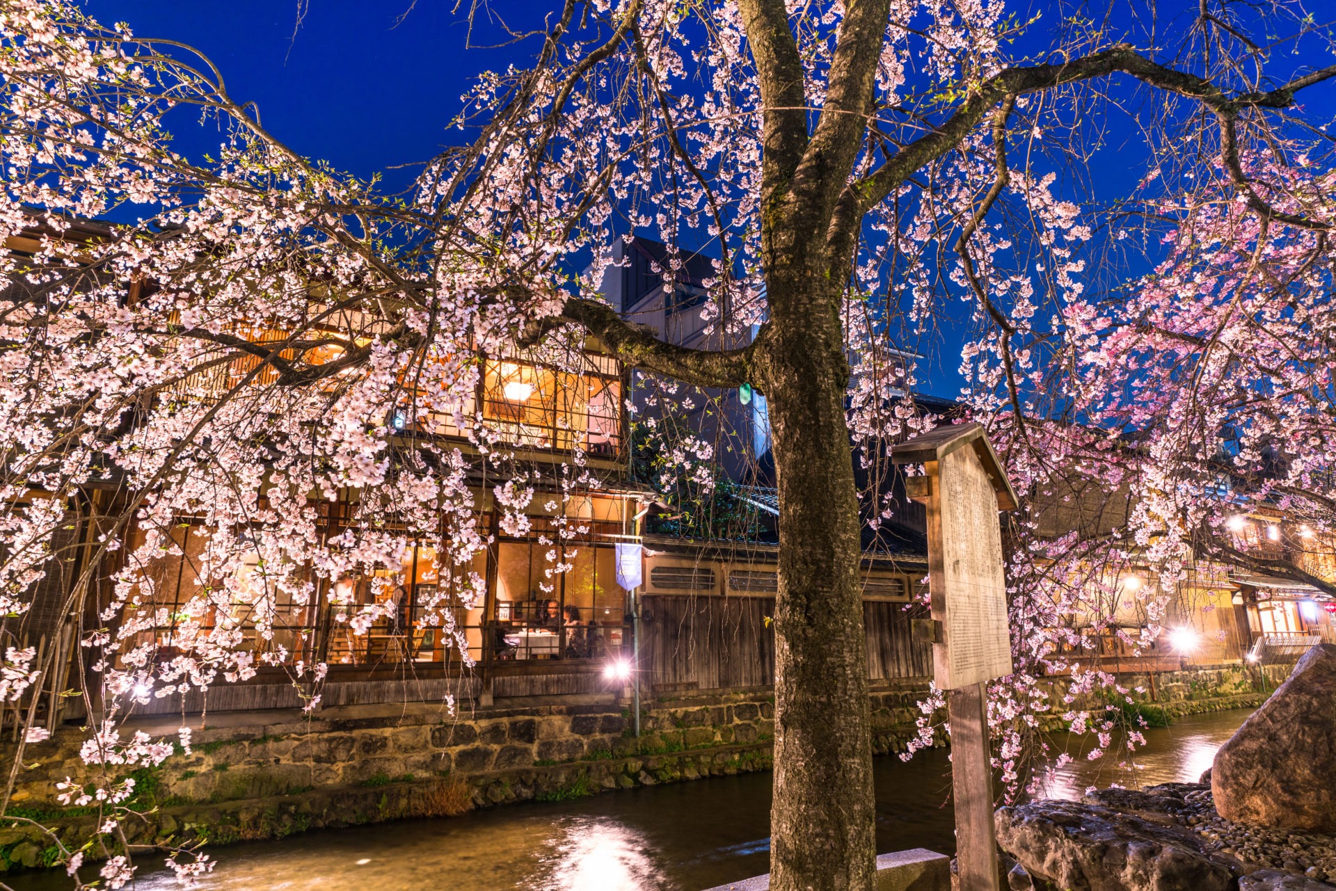 10 Motivos para Conhecer o Japão na Primavera