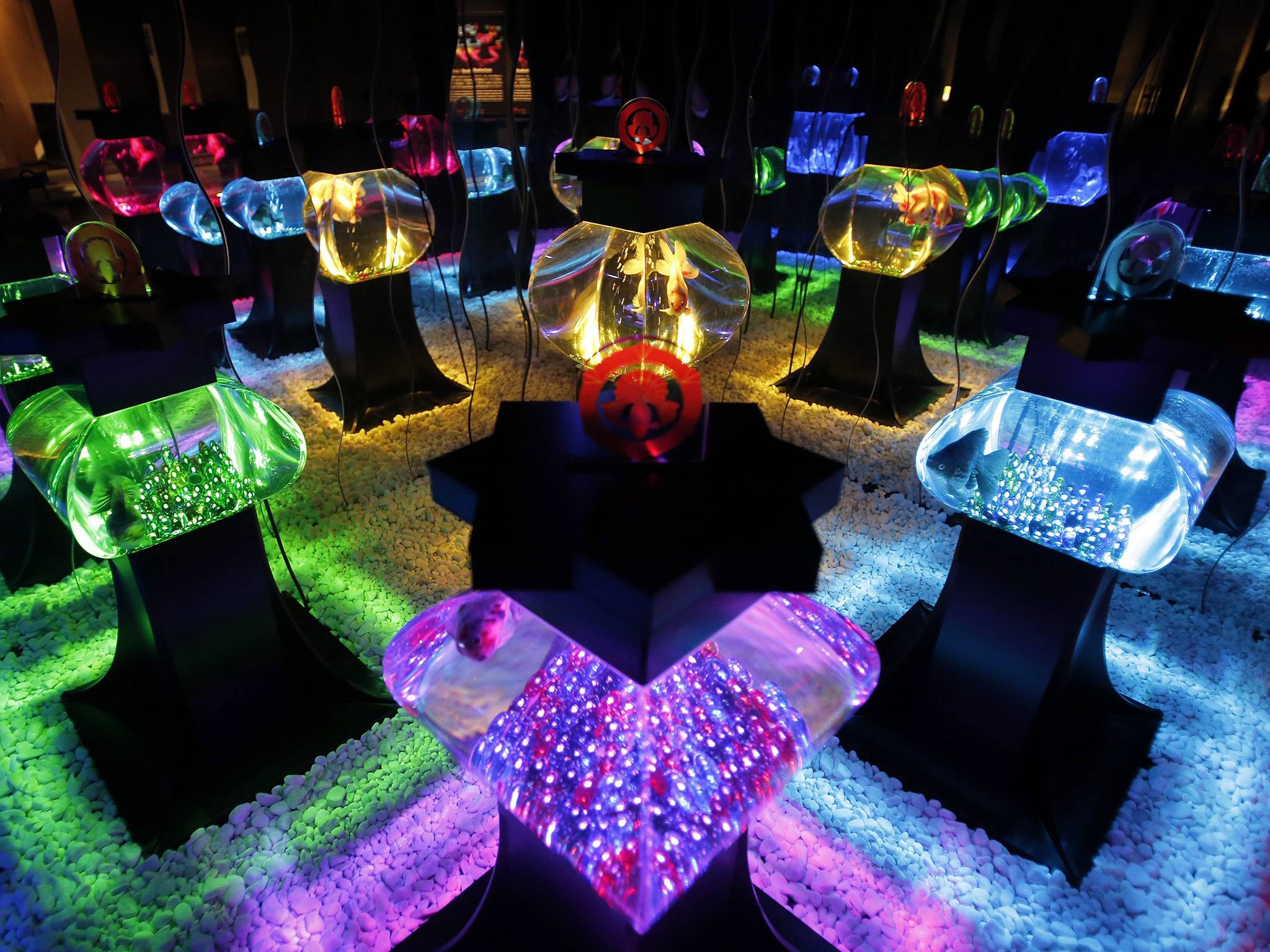 Eco Edo Nihonbashi Art Aquarium