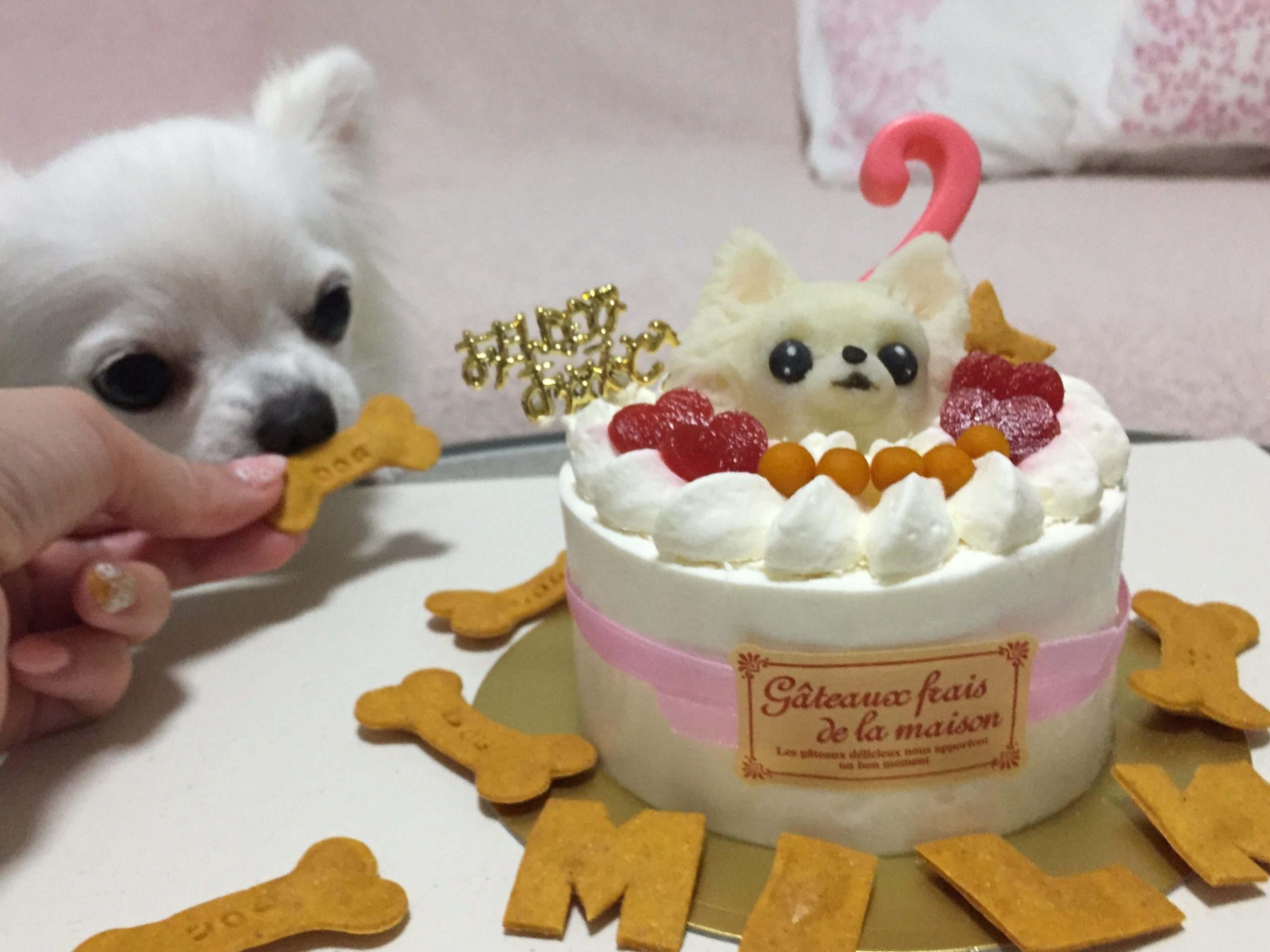 Bolo de Aniversário Bom Pra Cachorro