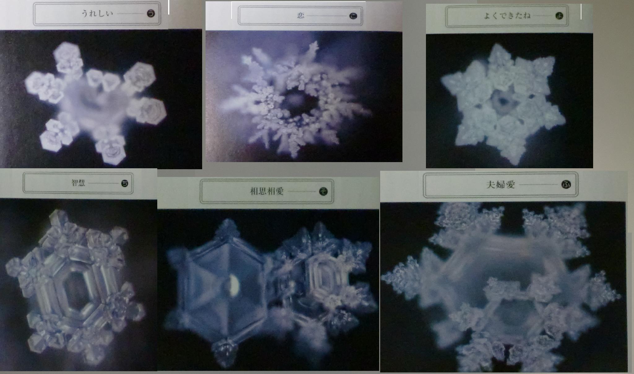 Masaru Emoto – A Mensagem da Água