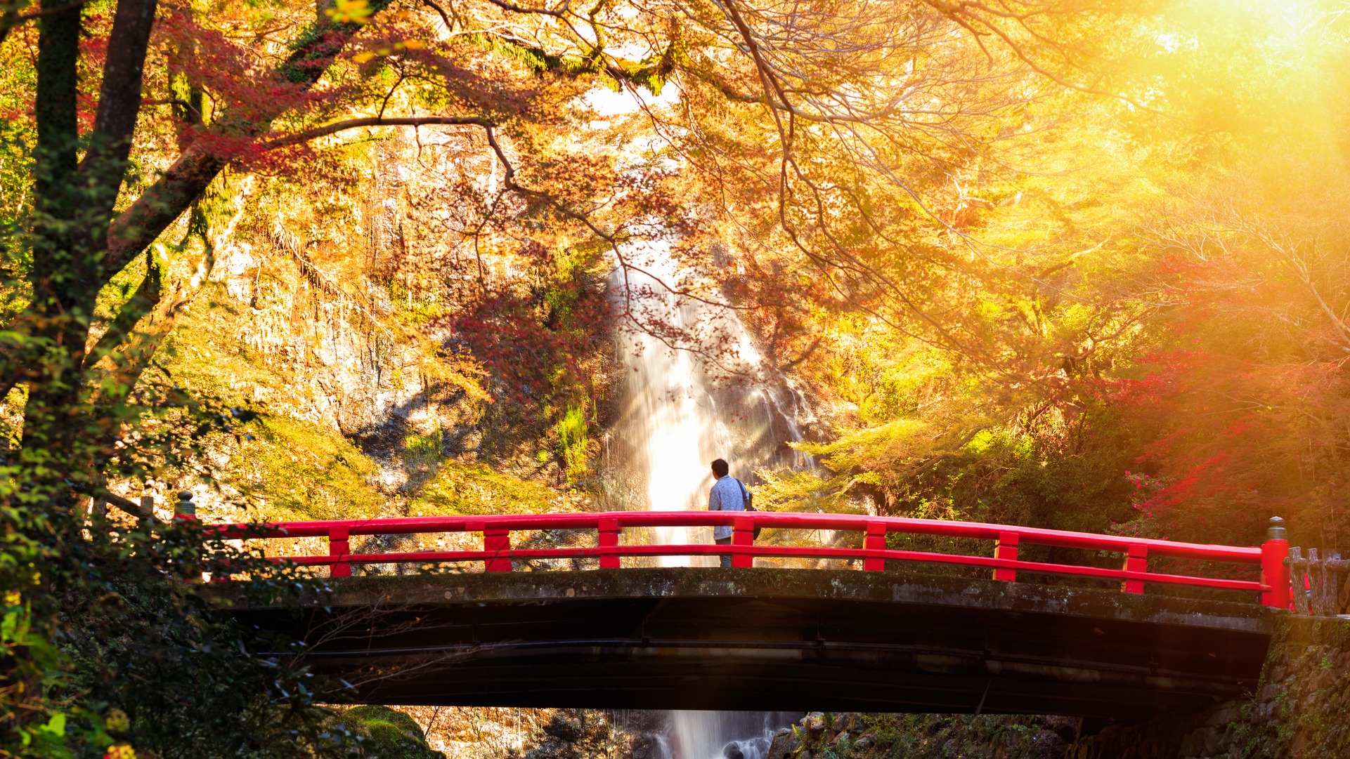 10 Fatos Loucos Sobre o Japão
