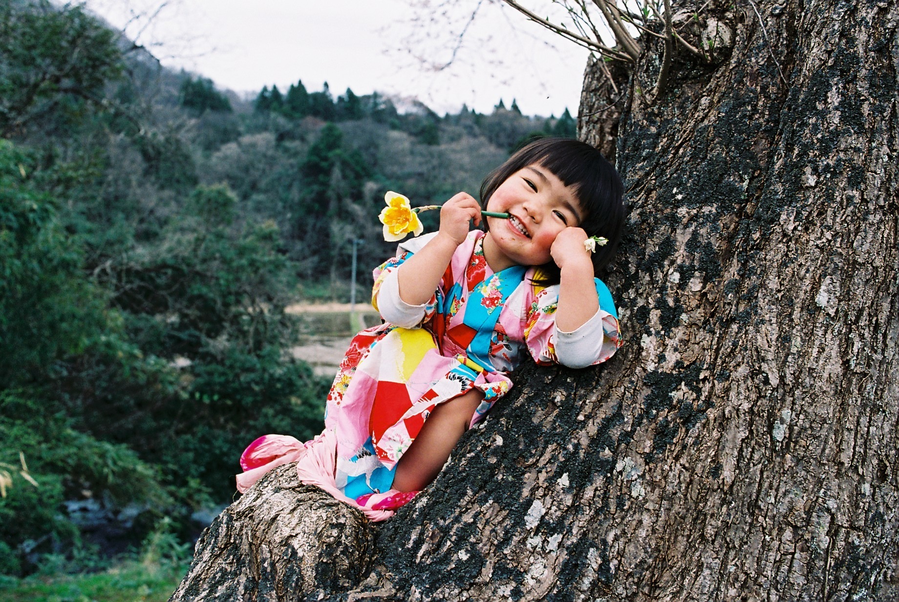 Mirai chan… A Garotinha Kawaii do Futuro
