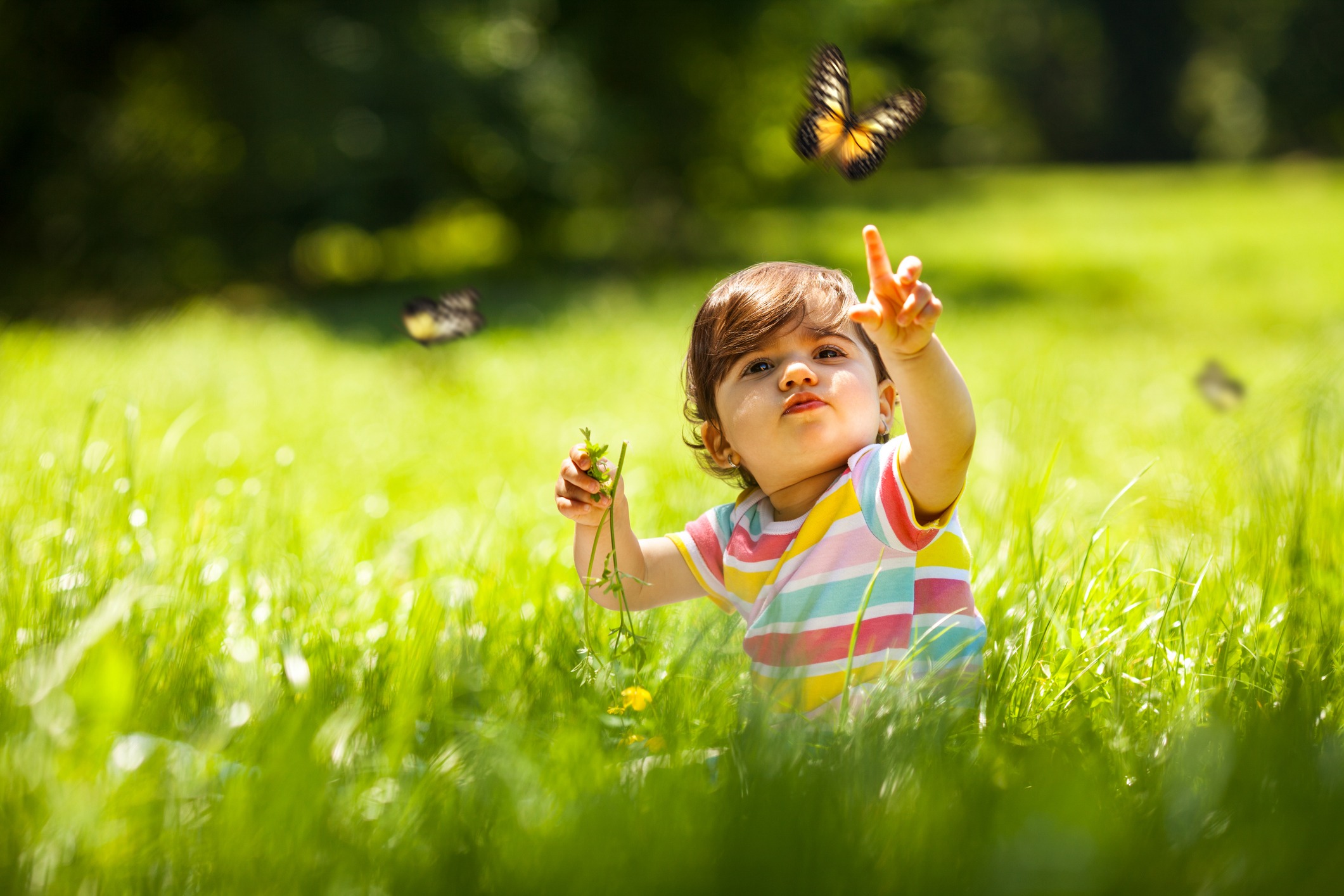 Contato com a natureza na infância pode ter ótimas influências no futuro