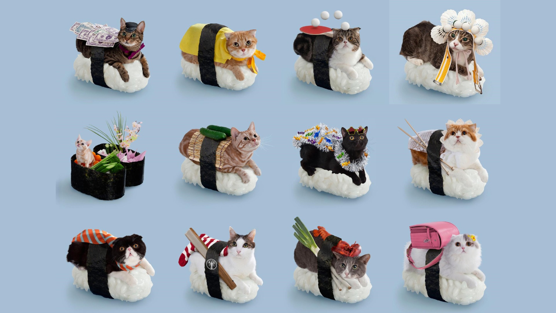 Nekozushi – Uma combinação de Gato + Sushi