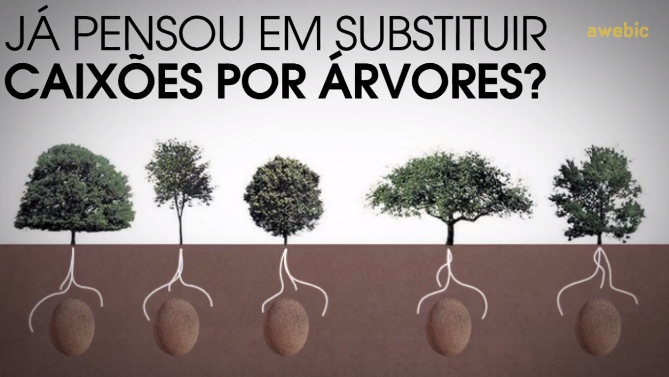 Adeus caixões! Cápsula orgânica transforma pessoas falecidas em árvores