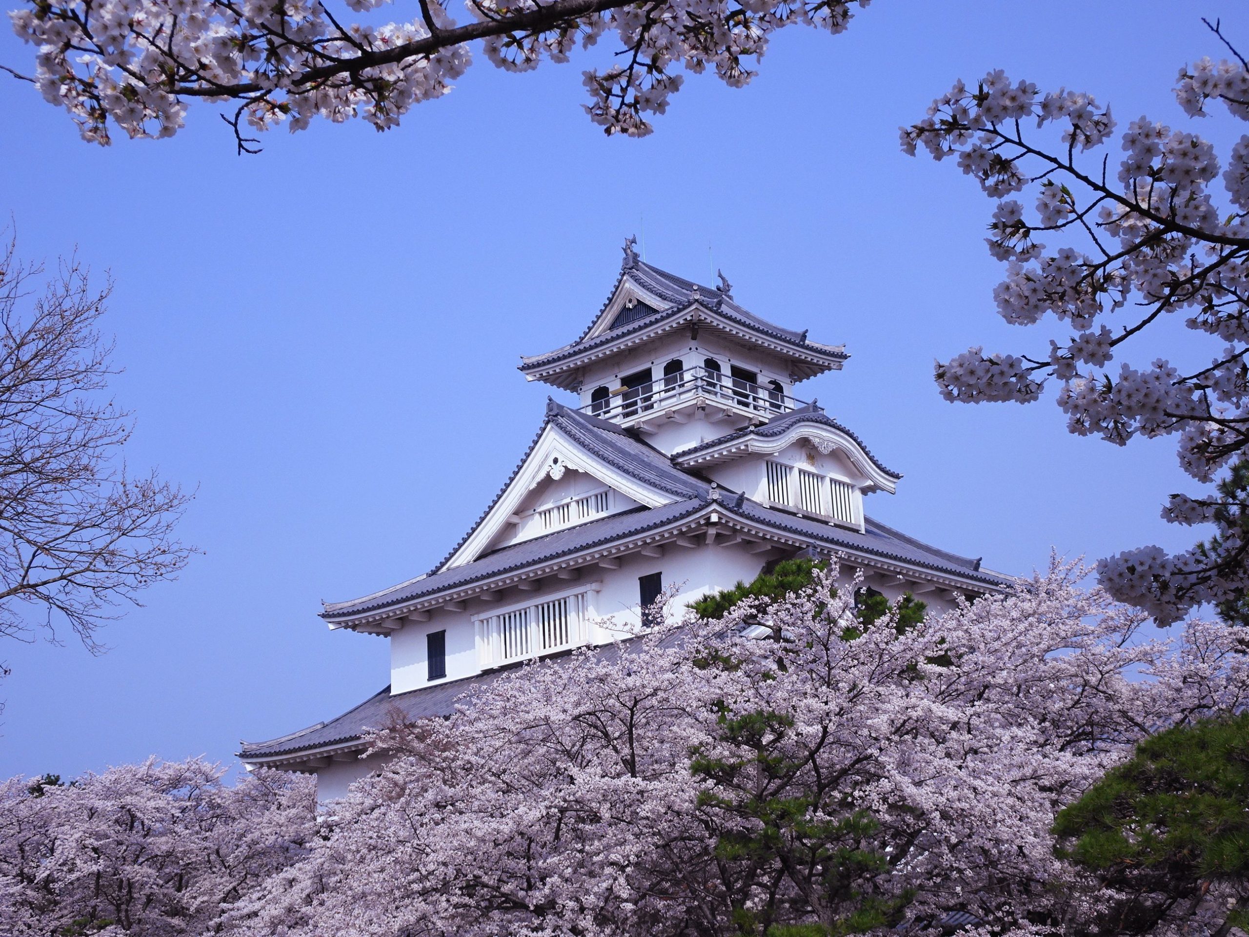 Nagahama: Um castelo reconstruído com a vista para o maior lago do Japão