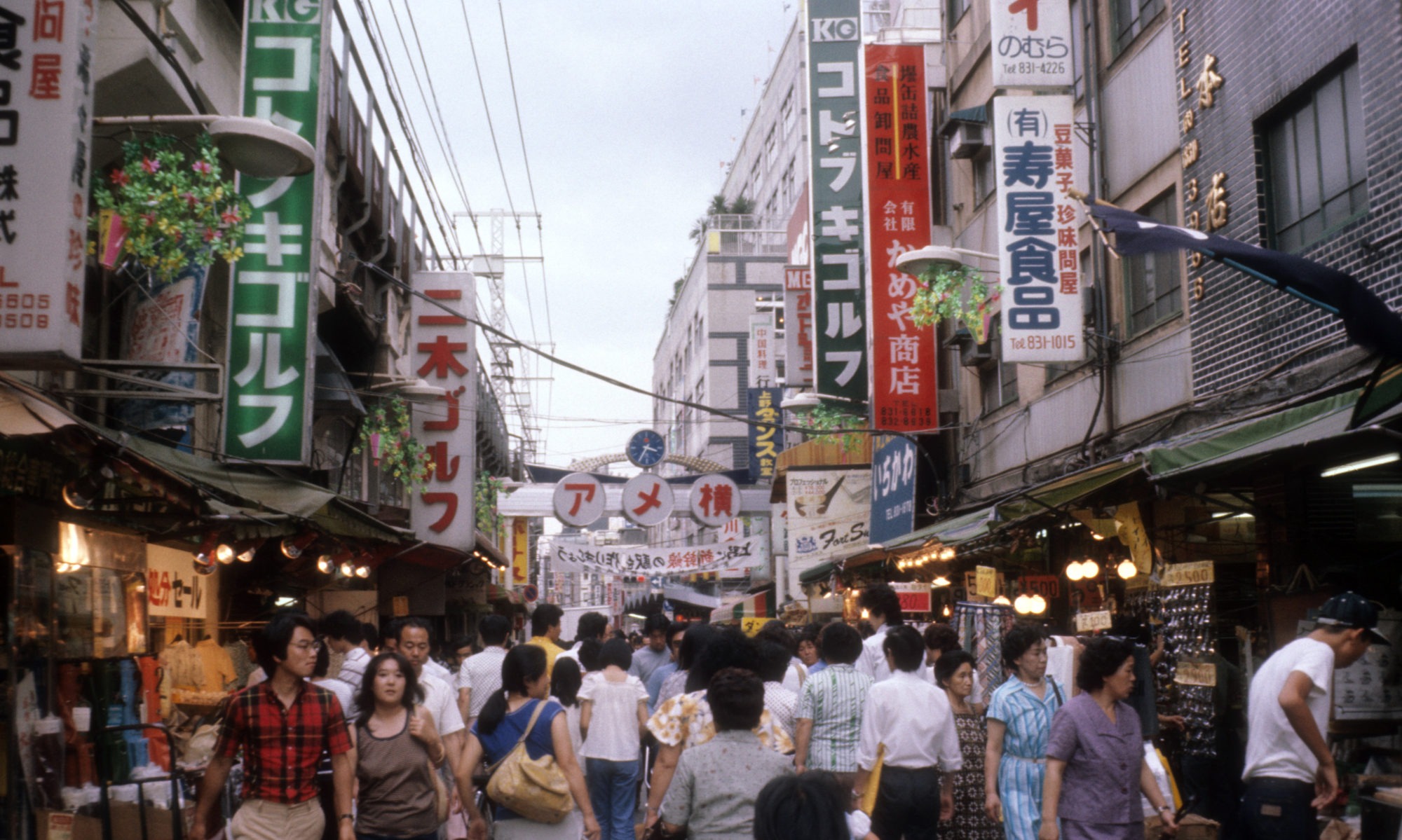 Nova lei obriga governo a garantir ensino de japonês aos estrangeiros