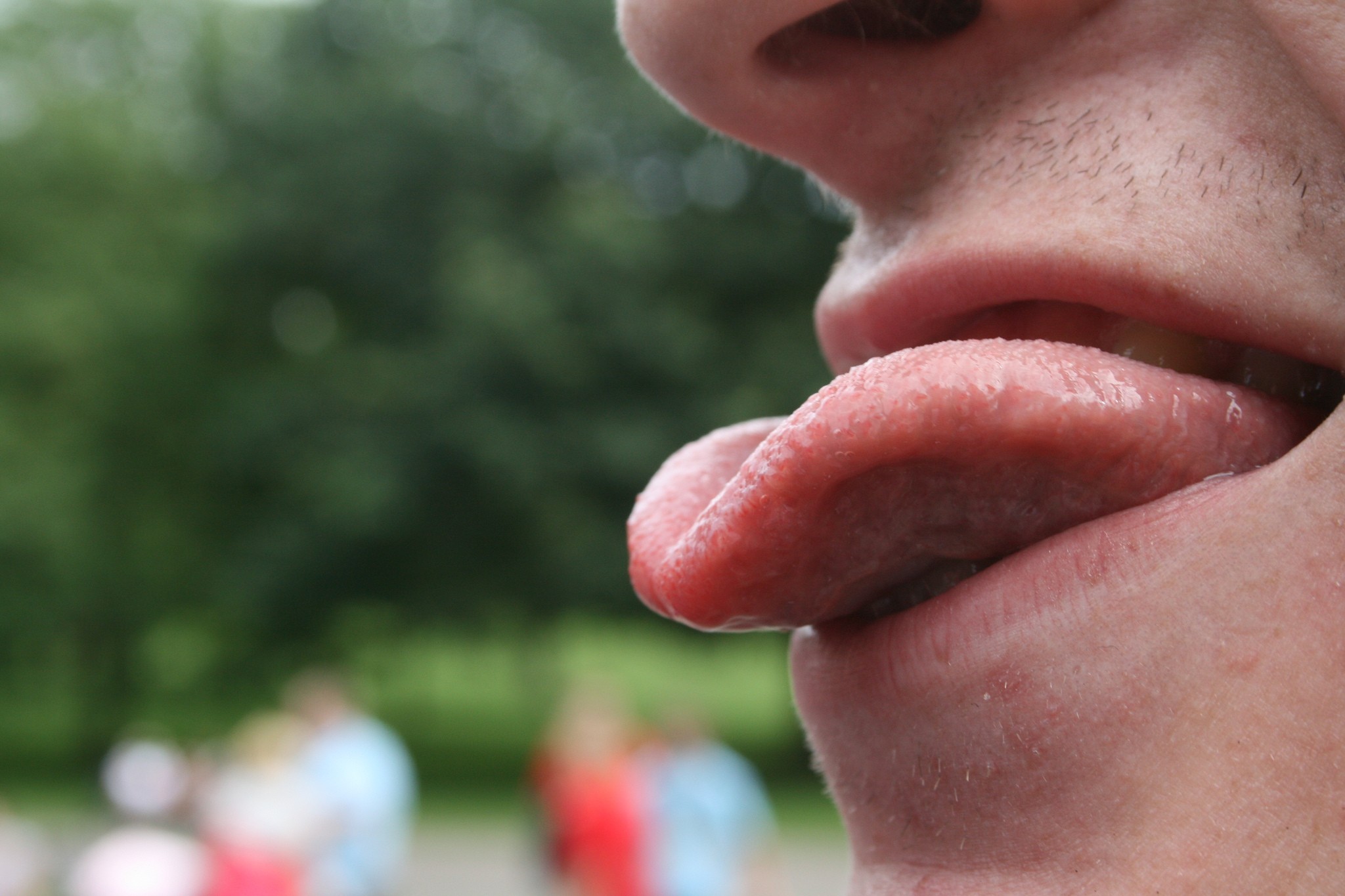 5 curiosidades sobre a saliva