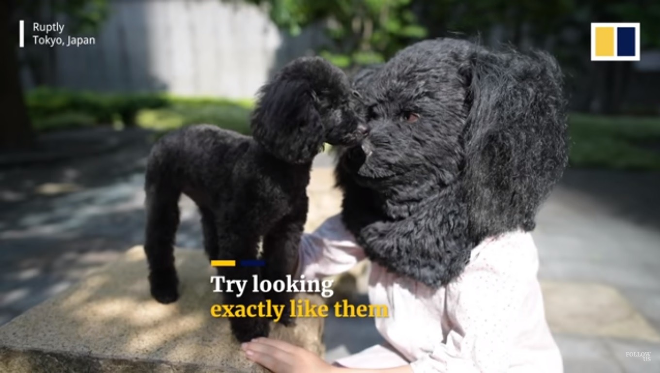 Empresa japonesa cria máscara hiper-realista que imita a cabeça do seu pet